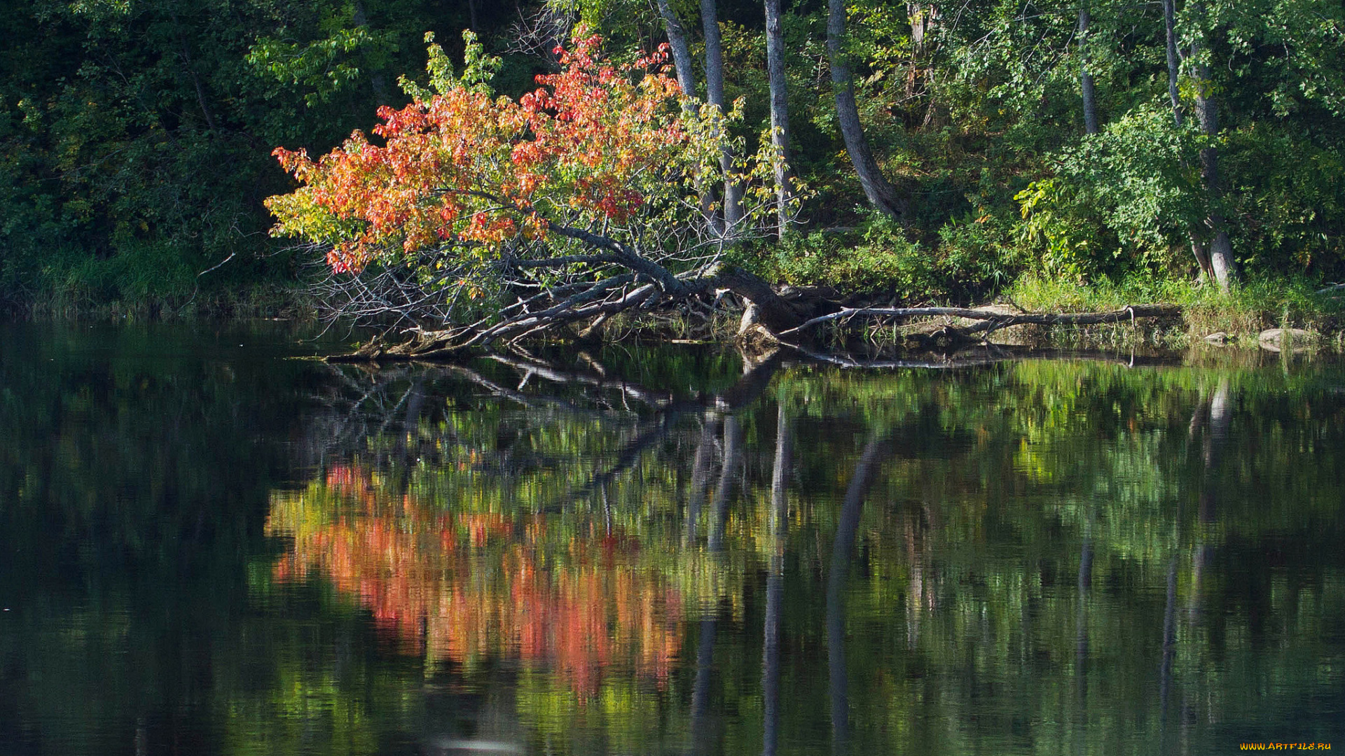 природа, реки, озера, простор