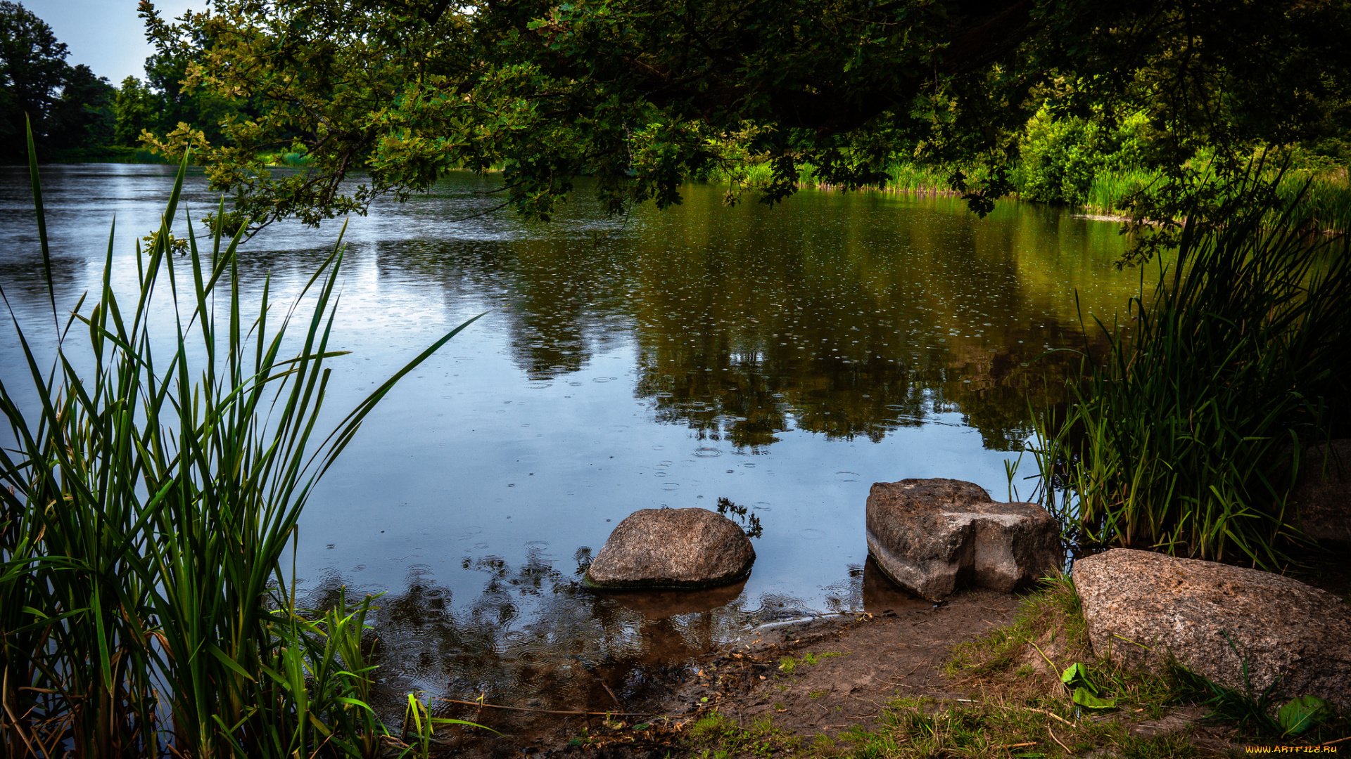 природа, реки, озера, простор