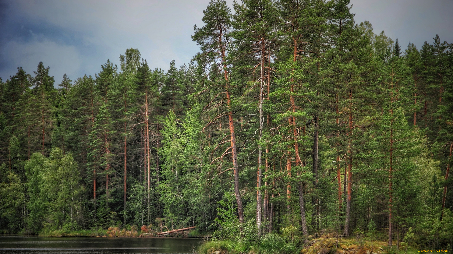 природа, реки, озера, простор