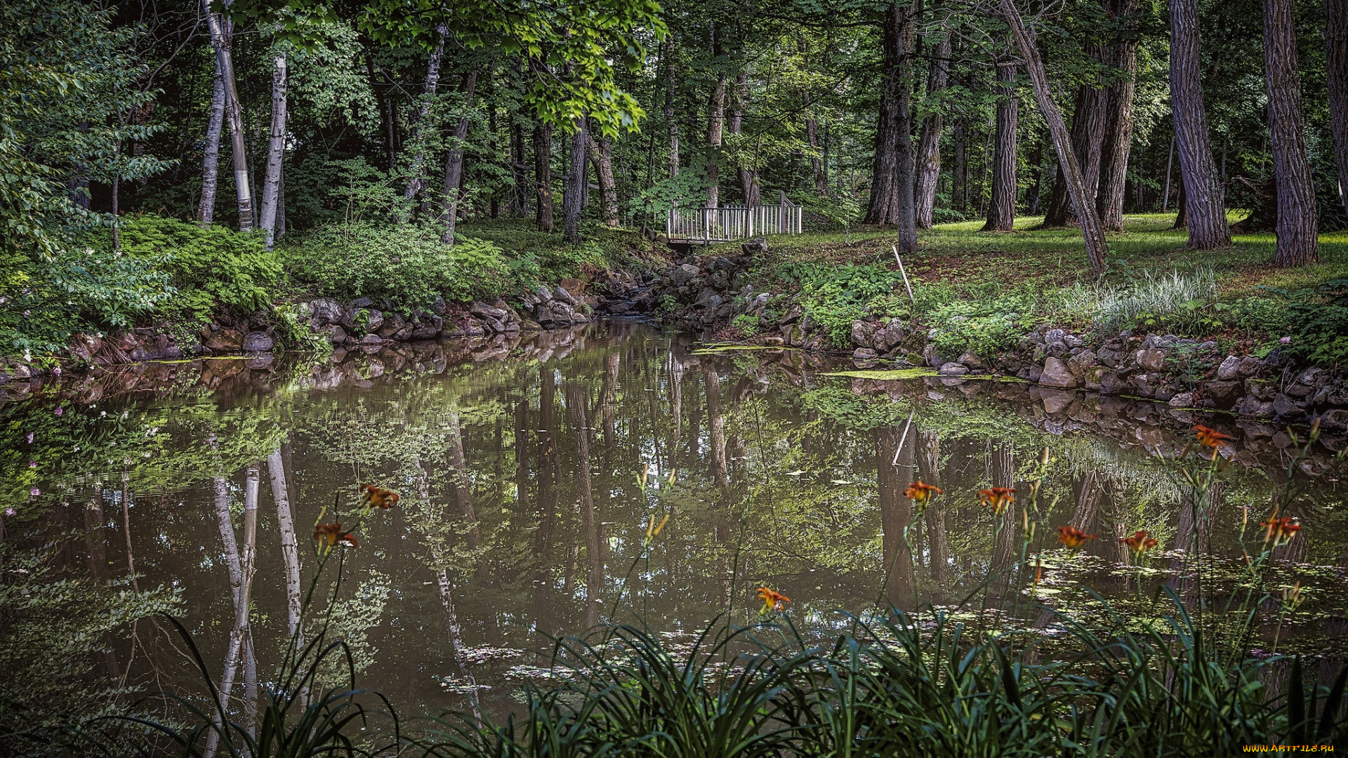 природа, реки, озера, простор