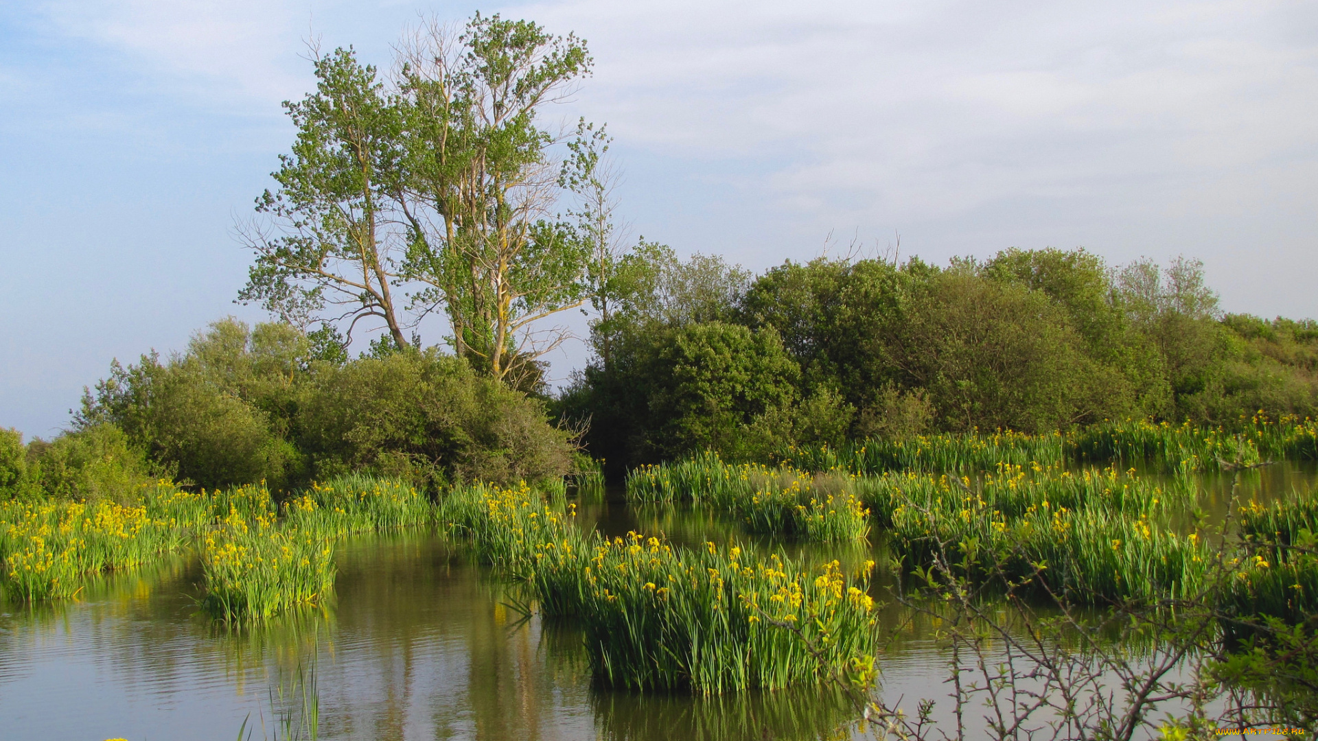 природа, реки, озера, простор
