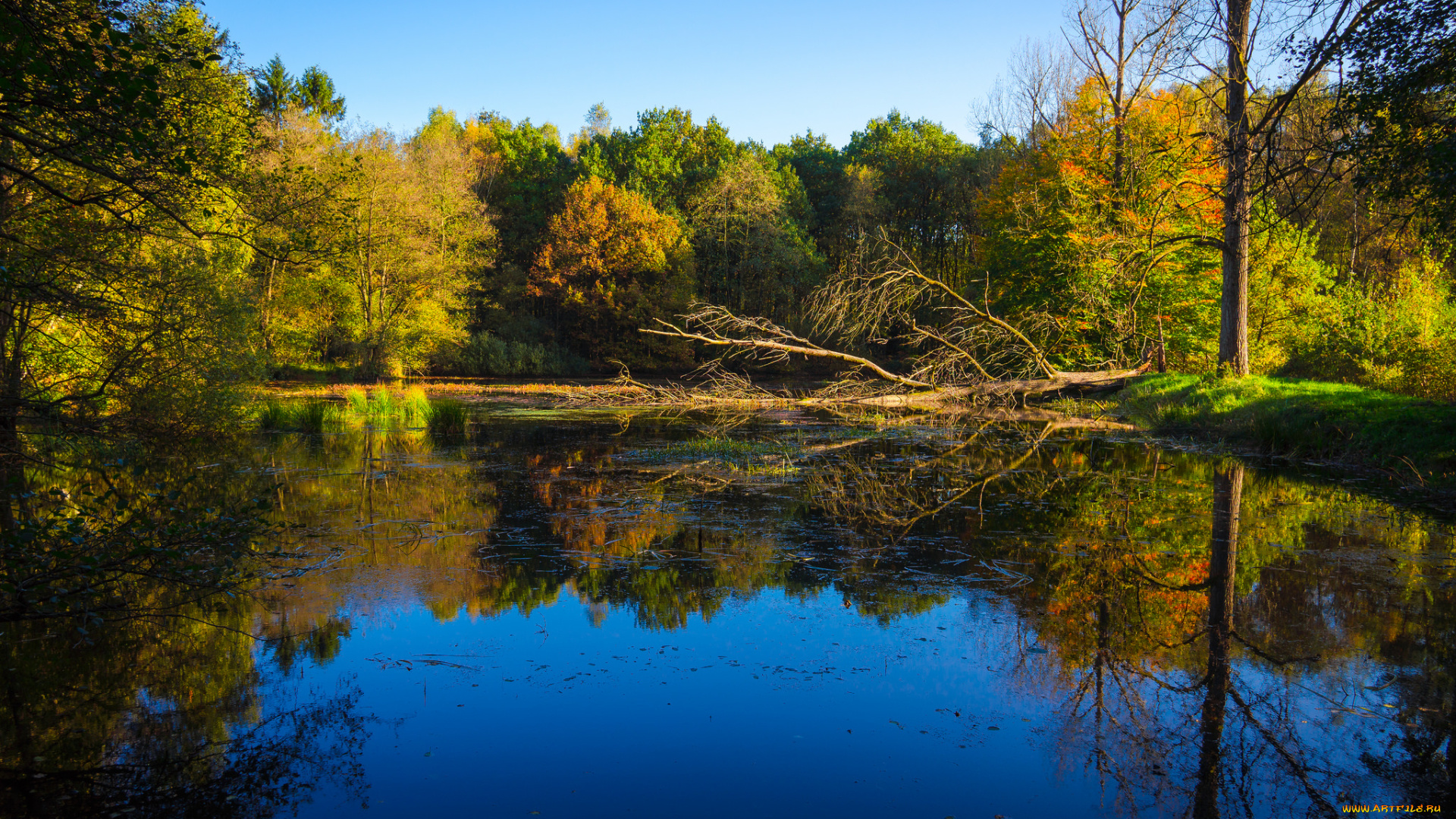 природа, реки, озера, простор