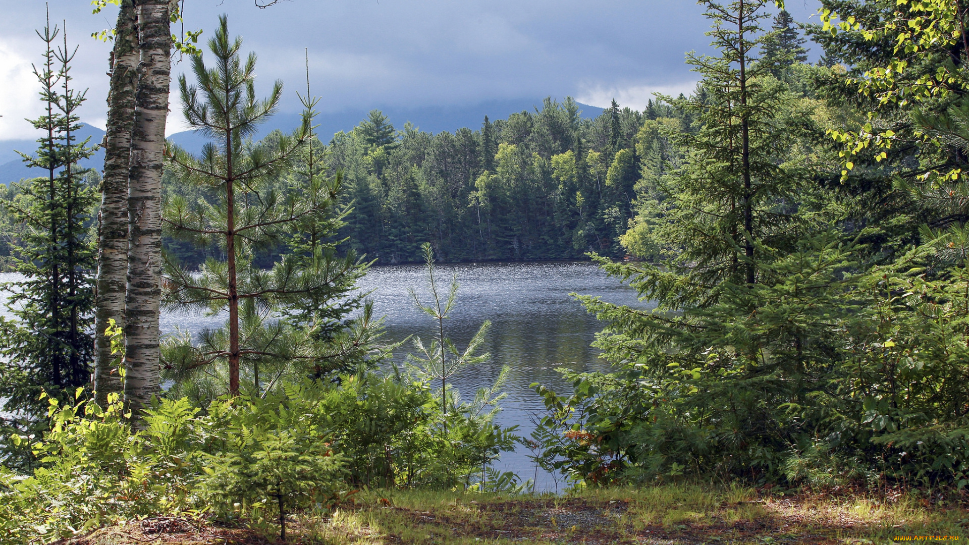 природа, реки, озера, простор