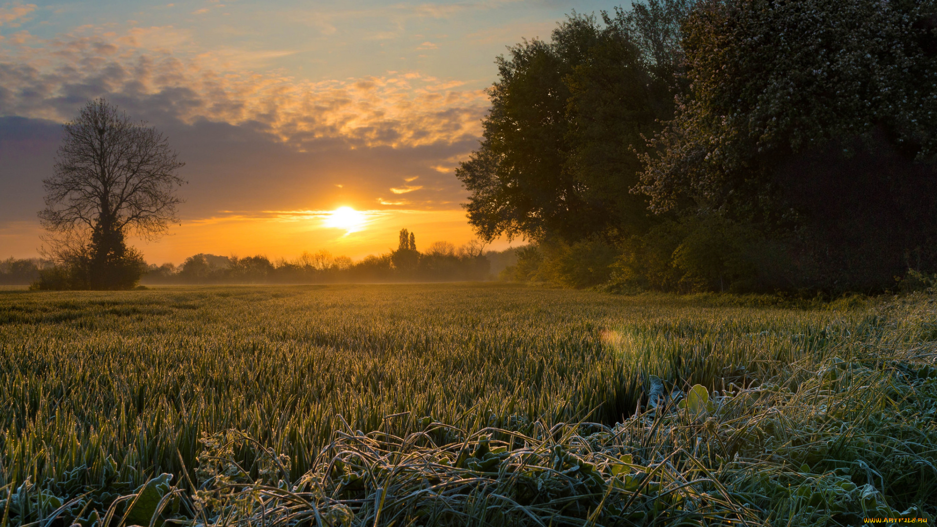 природа, восходы, закаты, простор