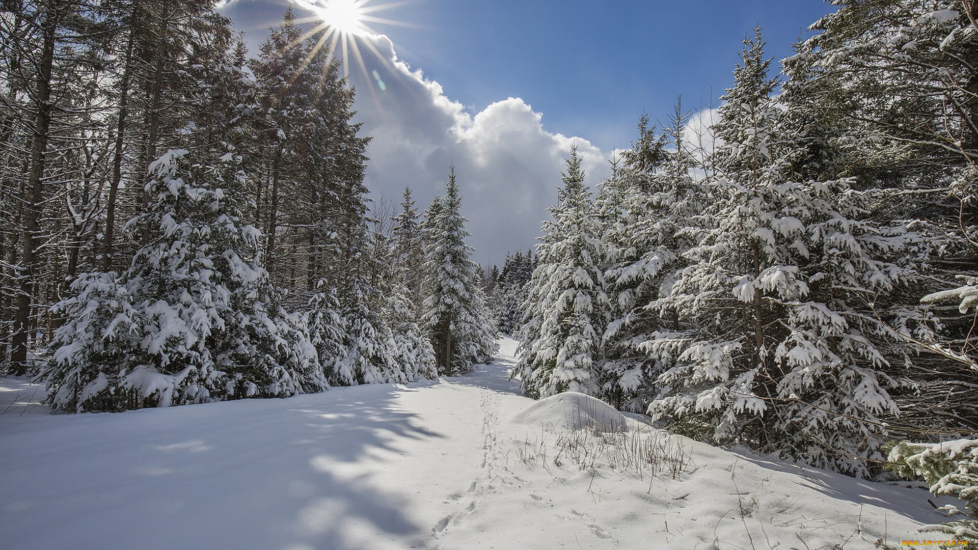 природа, зима, простор