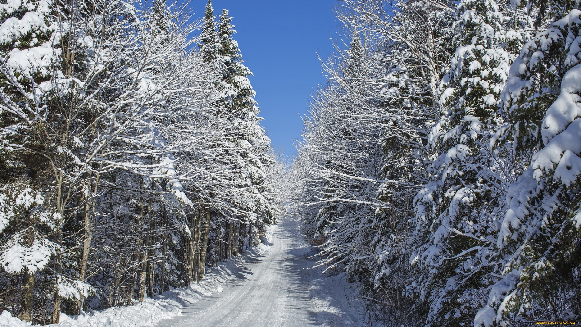 природа, зима, простор