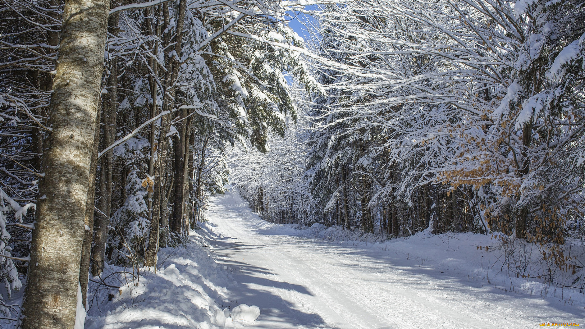 природа, зима, простор