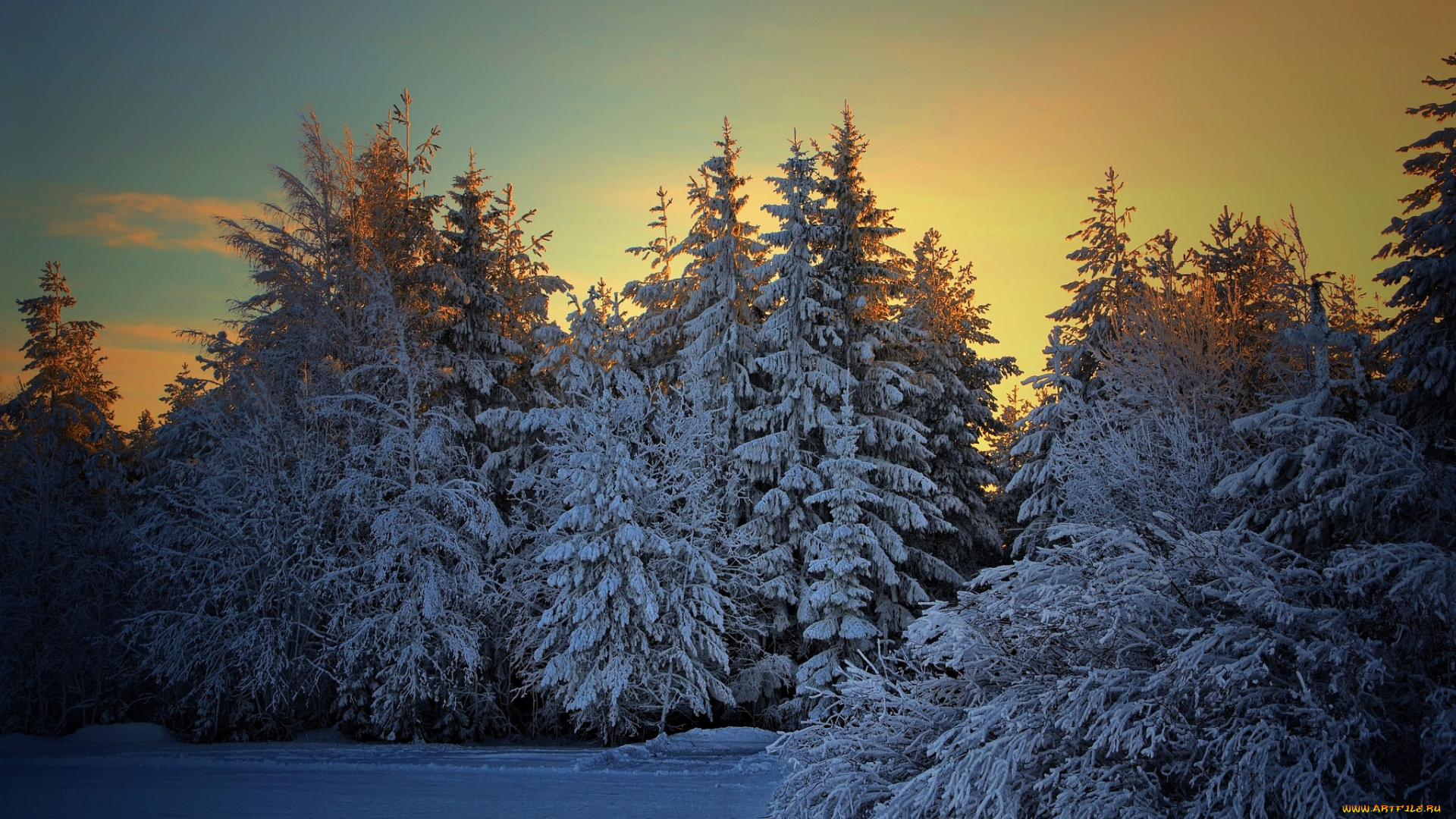 природа, зима, простор