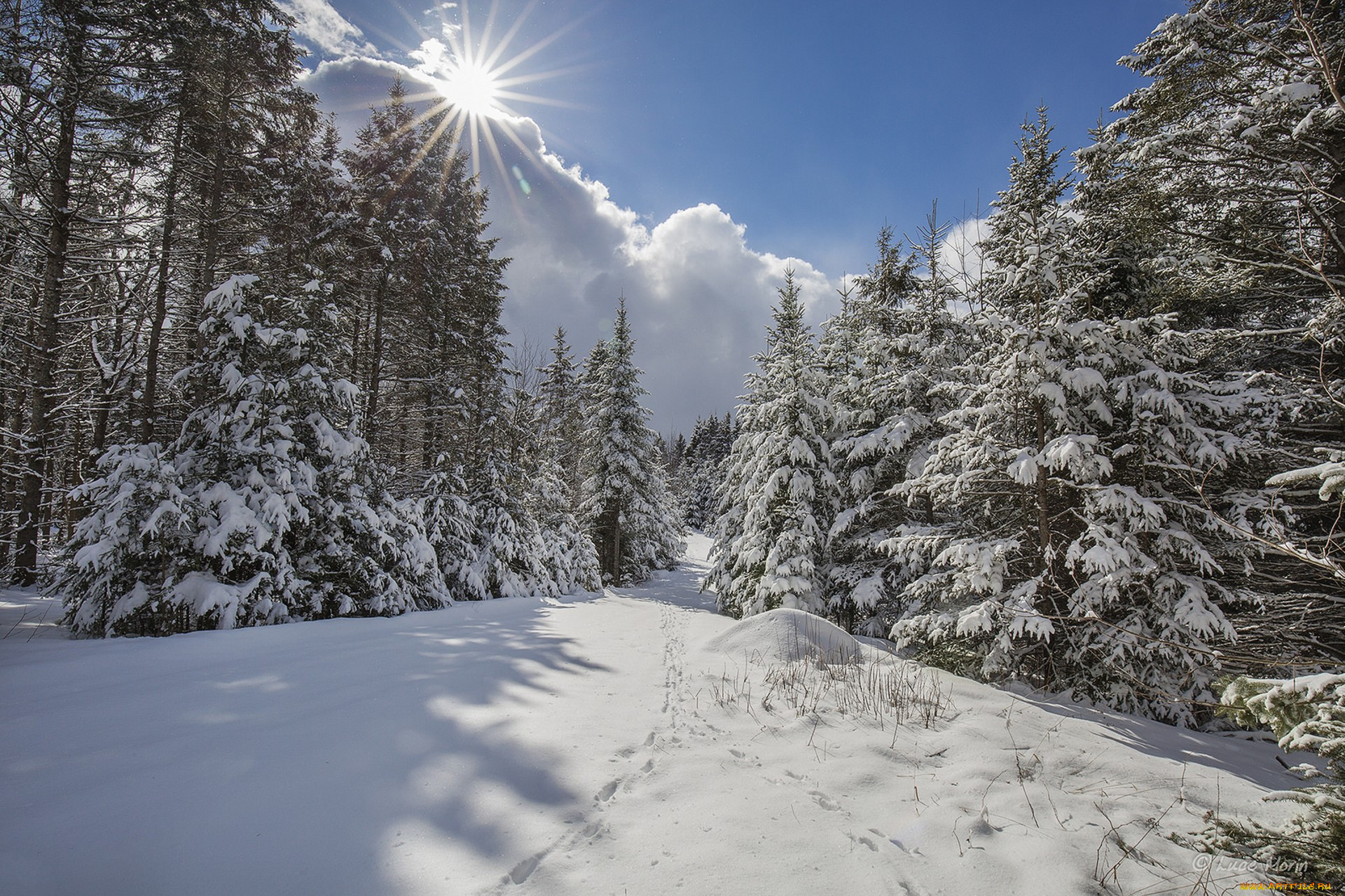 природа, зима, простор