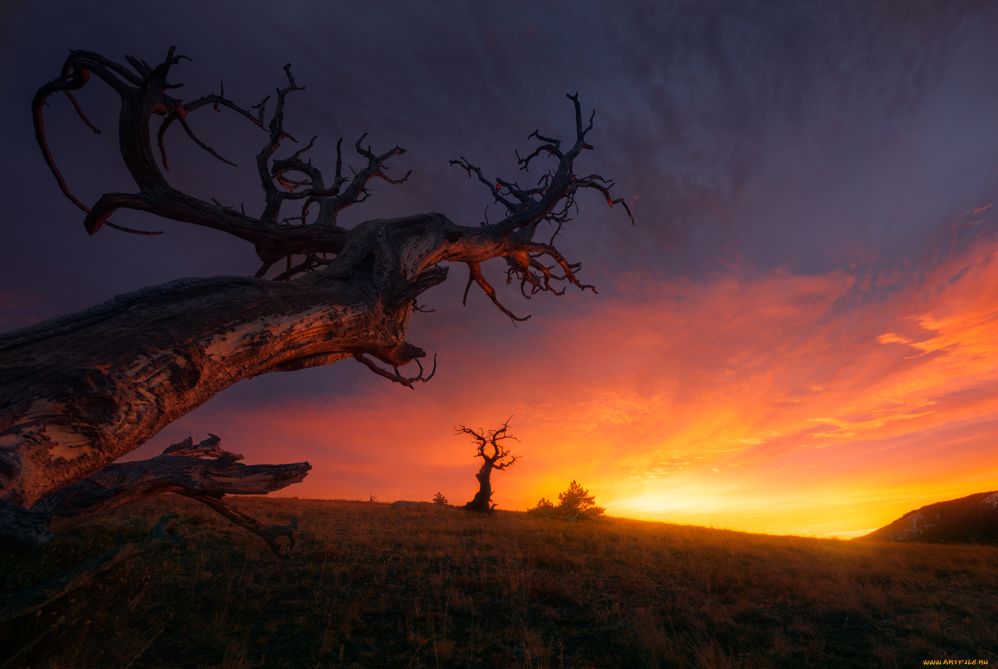 природа, восходы, закаты, простор