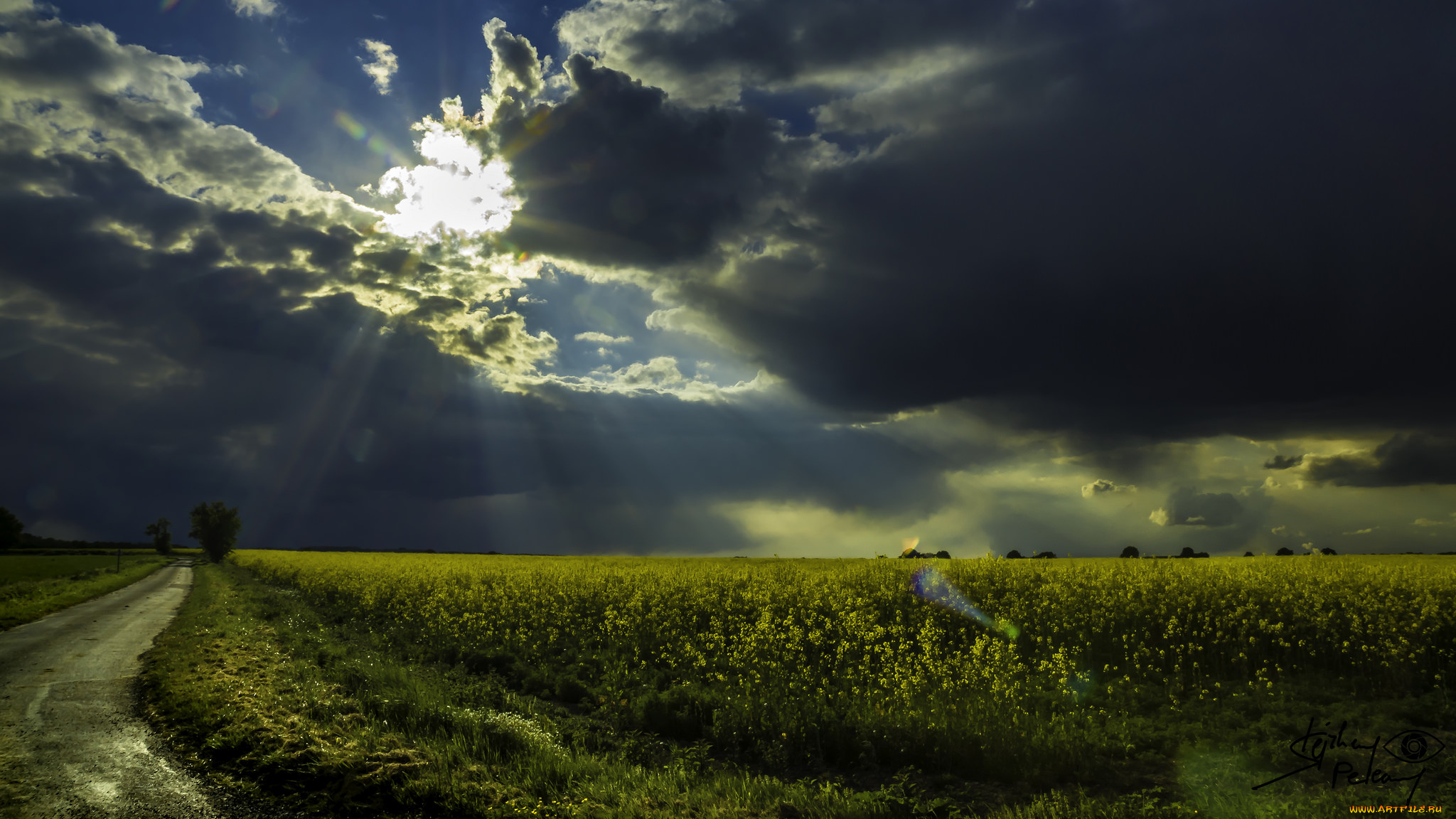 природа, пейзажи, простор