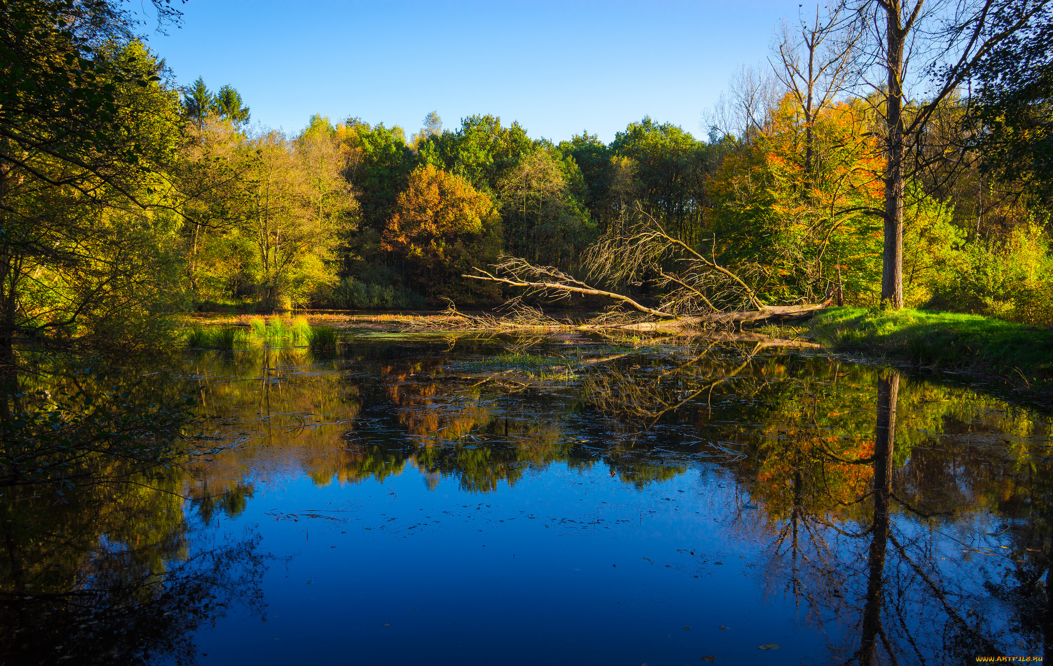 природа, реки, озера, простор