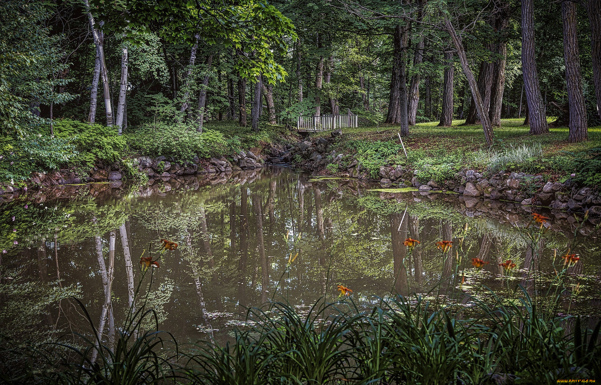 природа, реки, озера, простор