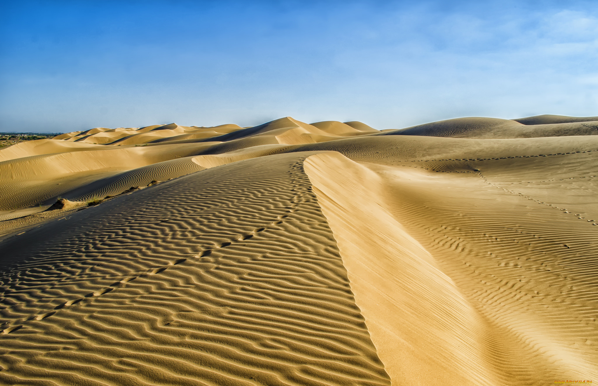 природа, пустыни, простор