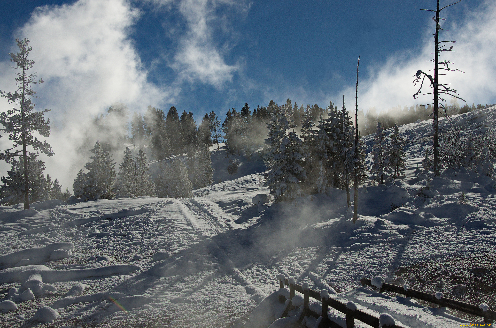 природа, дороги, простор