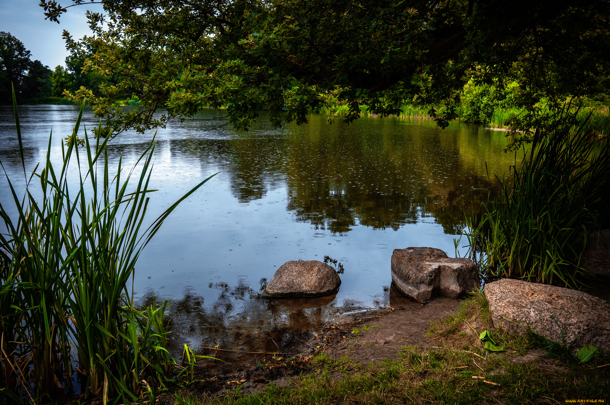 природа, реки, озера, простор