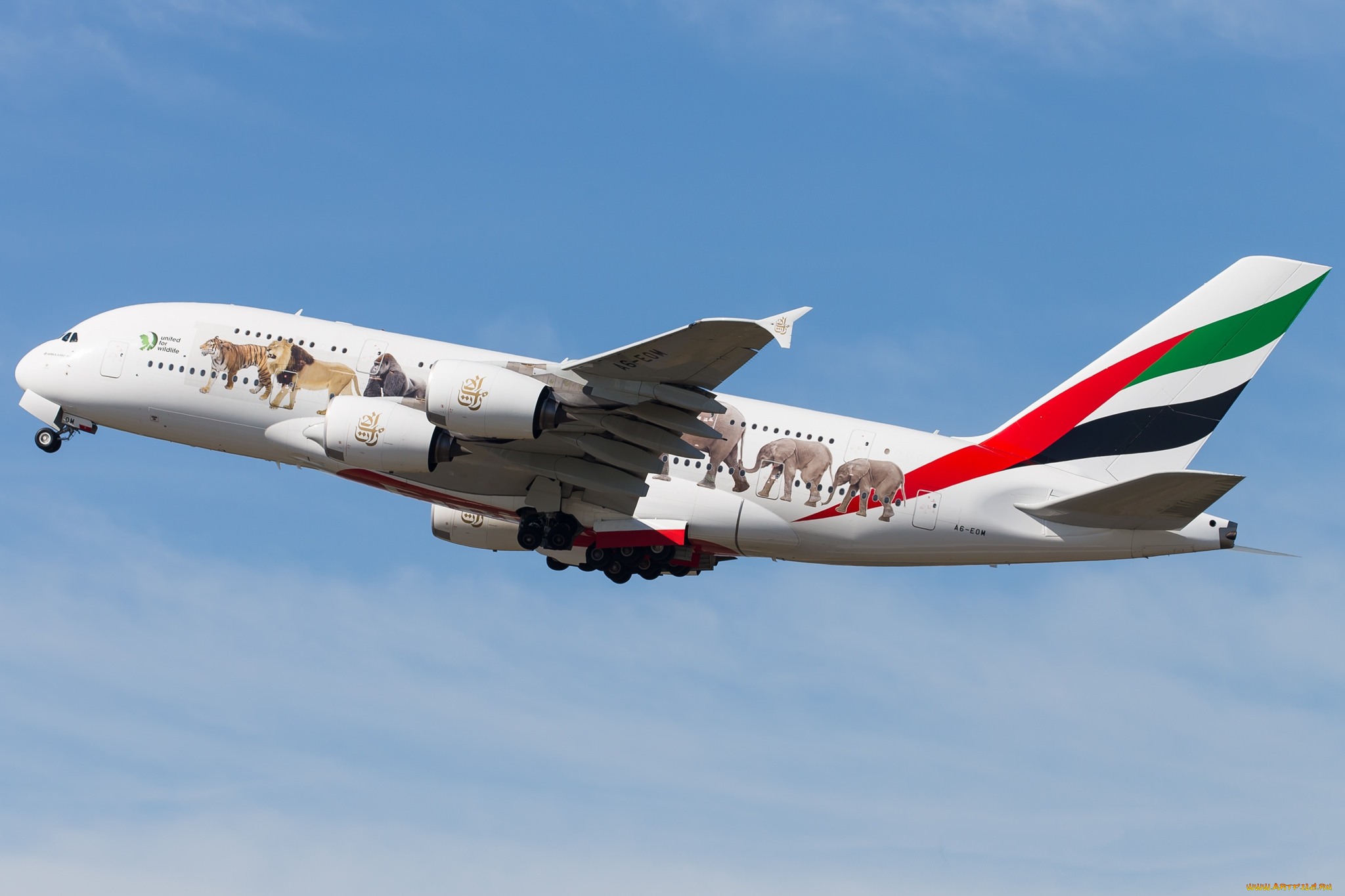 airbus, a380, a6-eom, авиация, пассажирские, самолёты, авиалайнер