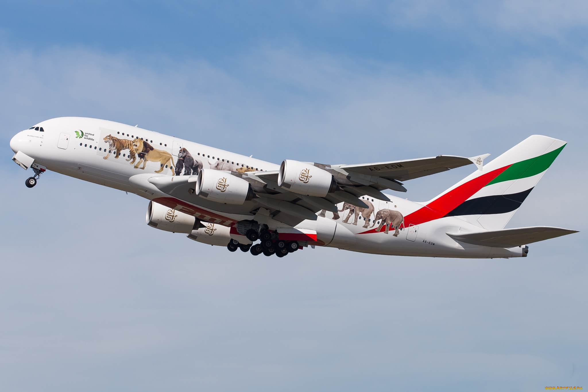 airbus, a380, a6-eom, авиация, пассажирские, самолёты, авиалайнер