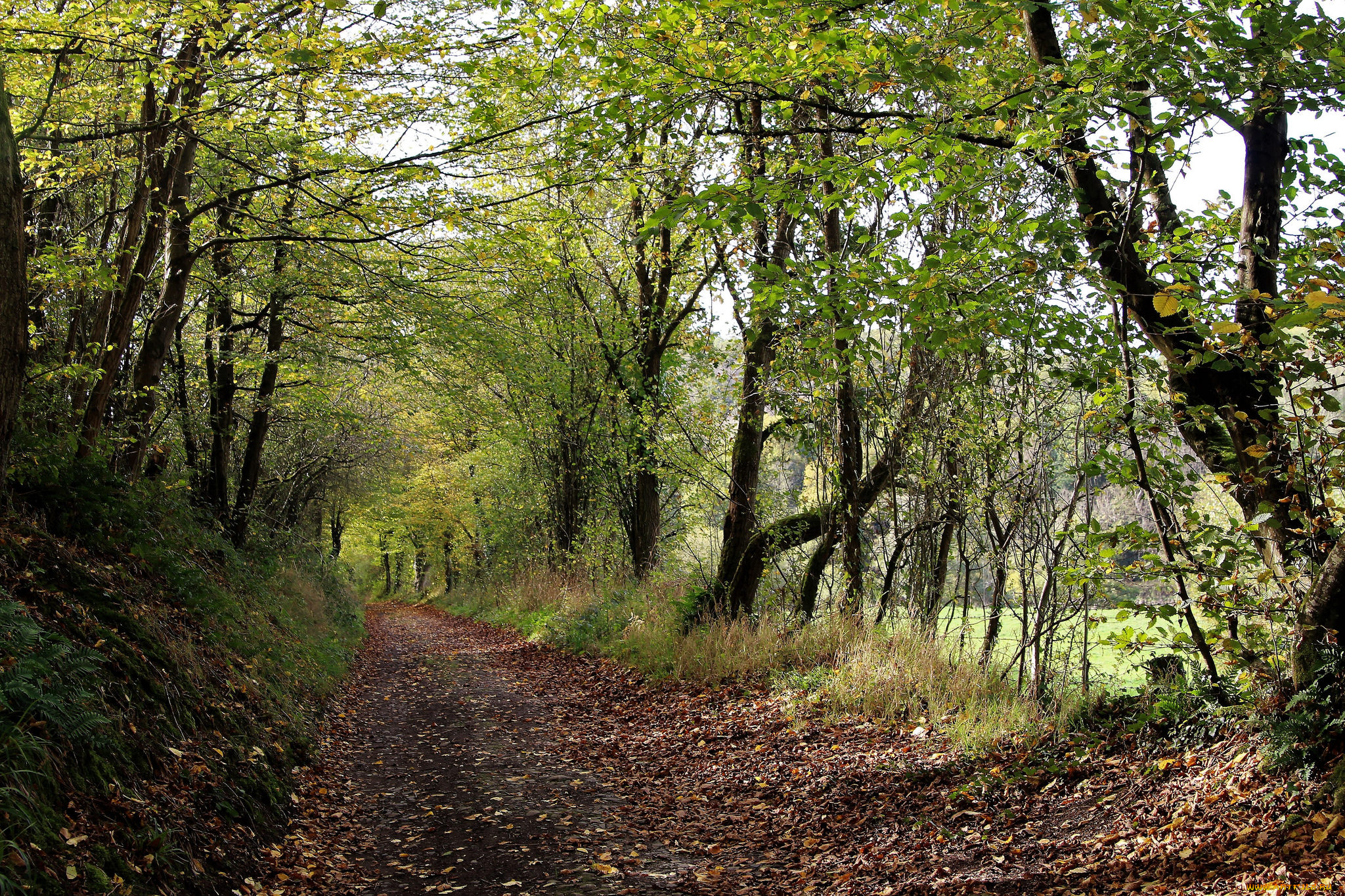 природа, дороги, простор