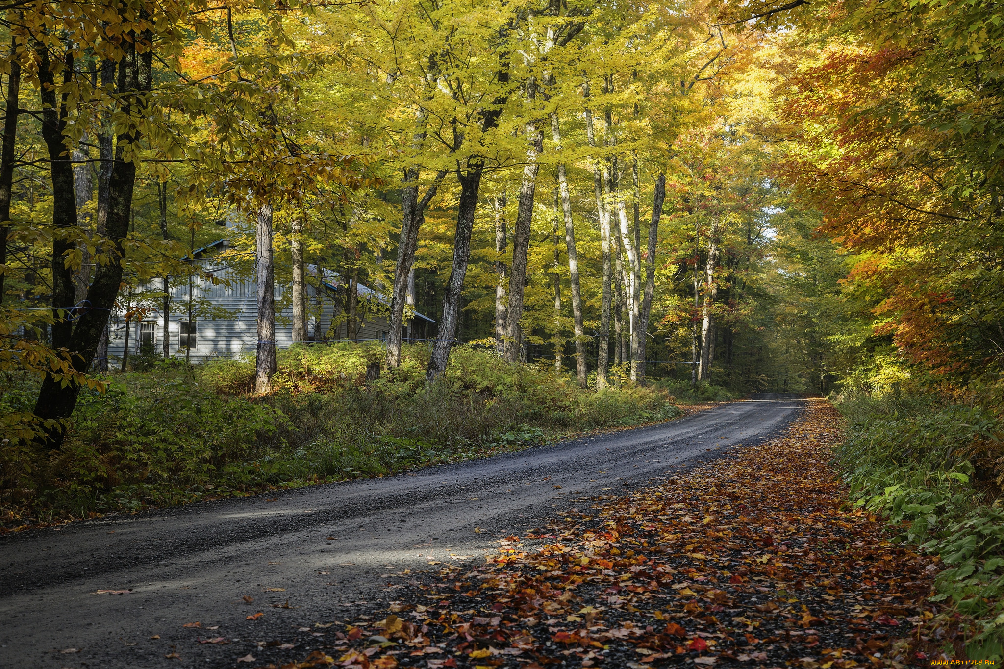 природа, дороги, простор