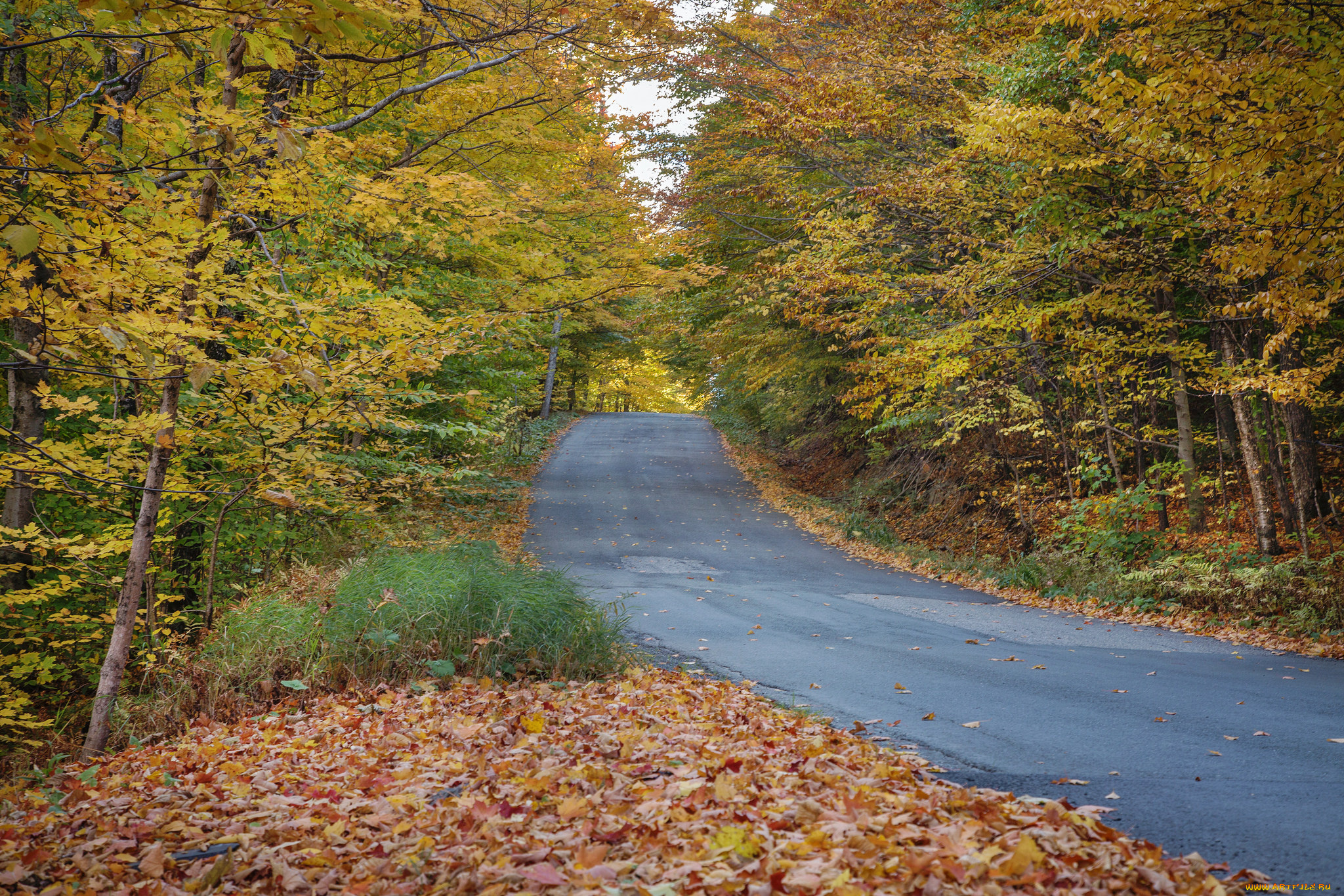 природа, дороги, простор