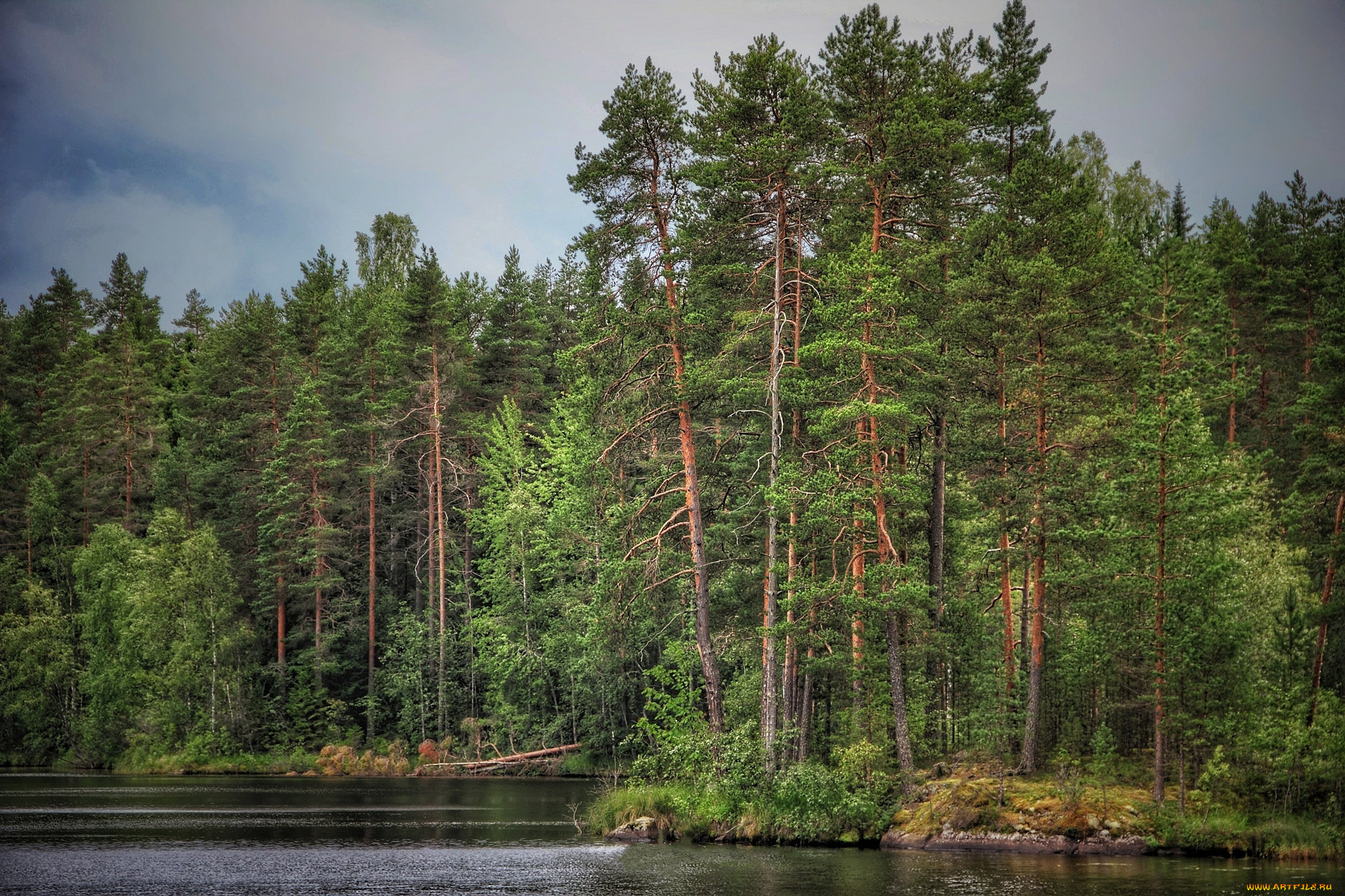 природа, реки, озера, простор