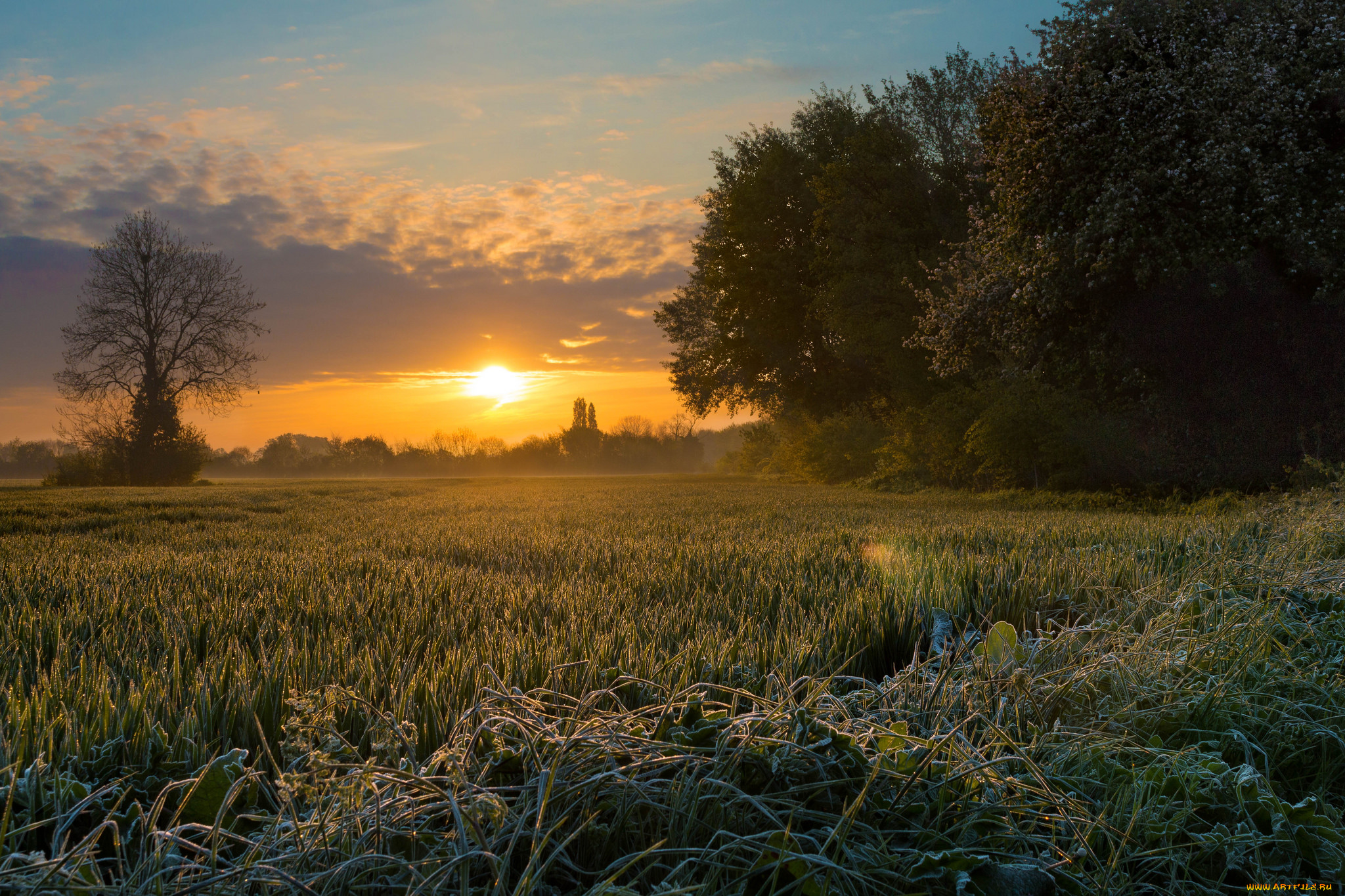 природа, восходы, закаты, простор