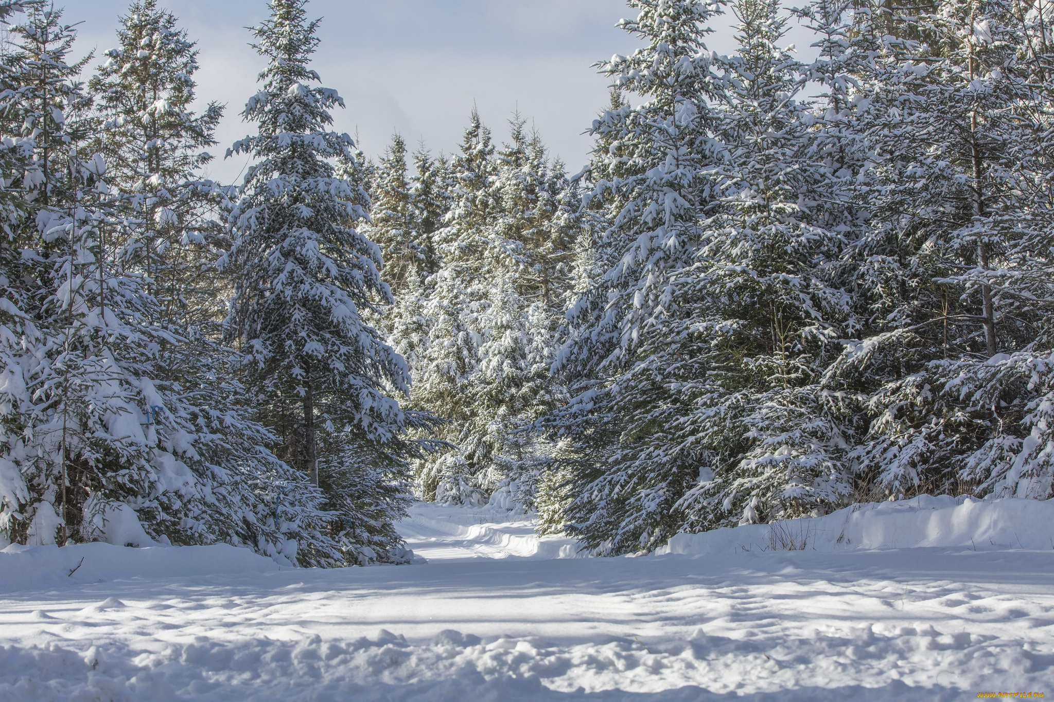 природа, зима, простор