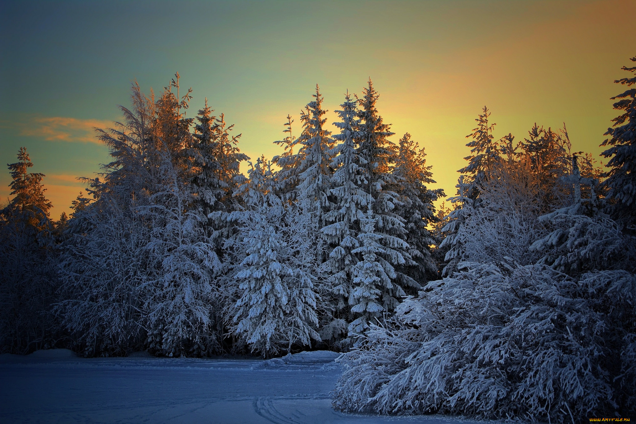 природа, зима, простор