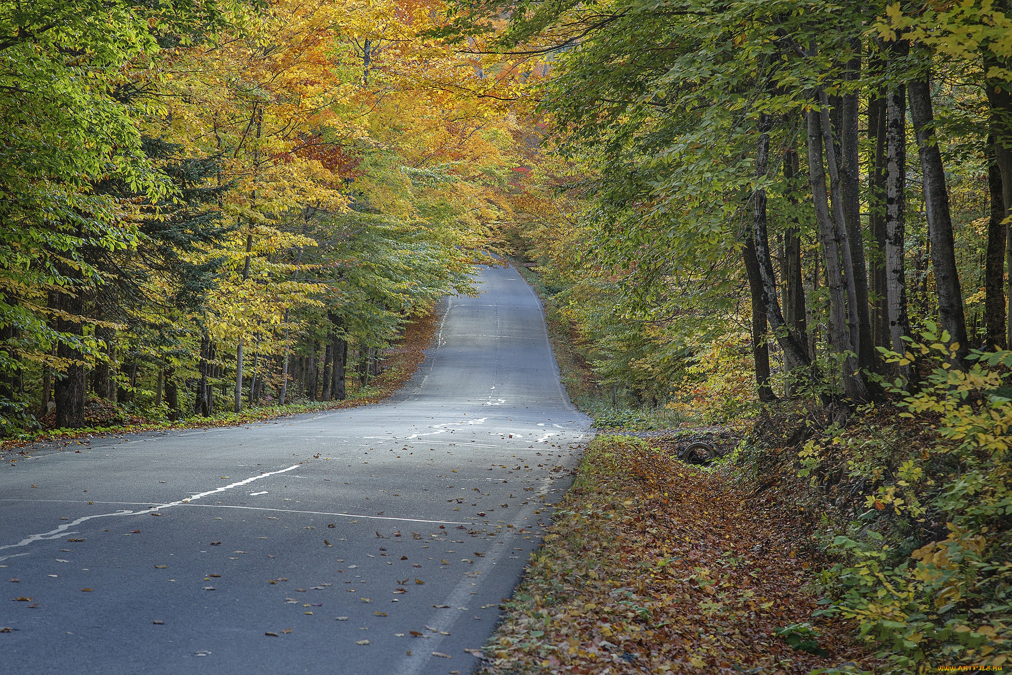 природа, дороги, простор