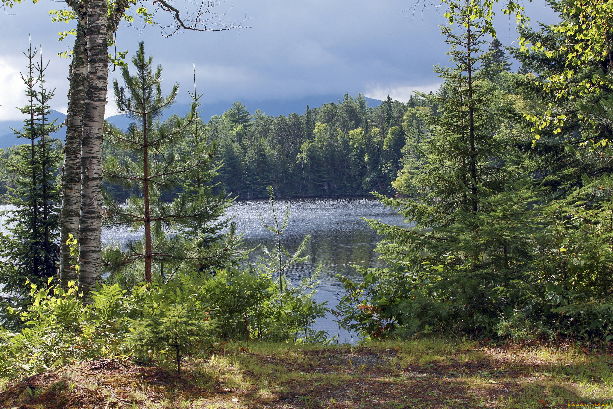 природа, реки, озера, простор