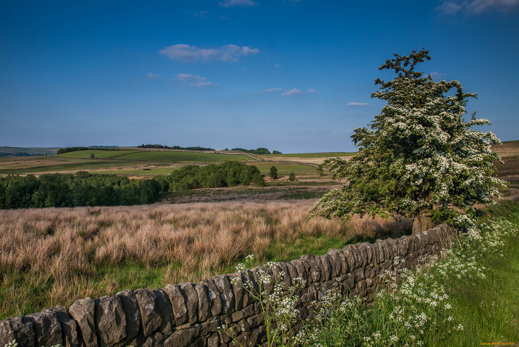 природа, пейзажи, простор