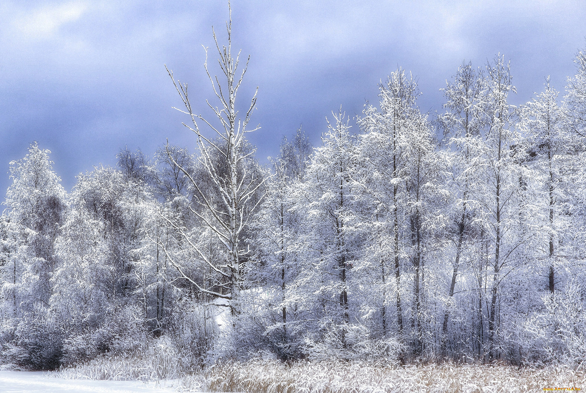 природа, зима, простор