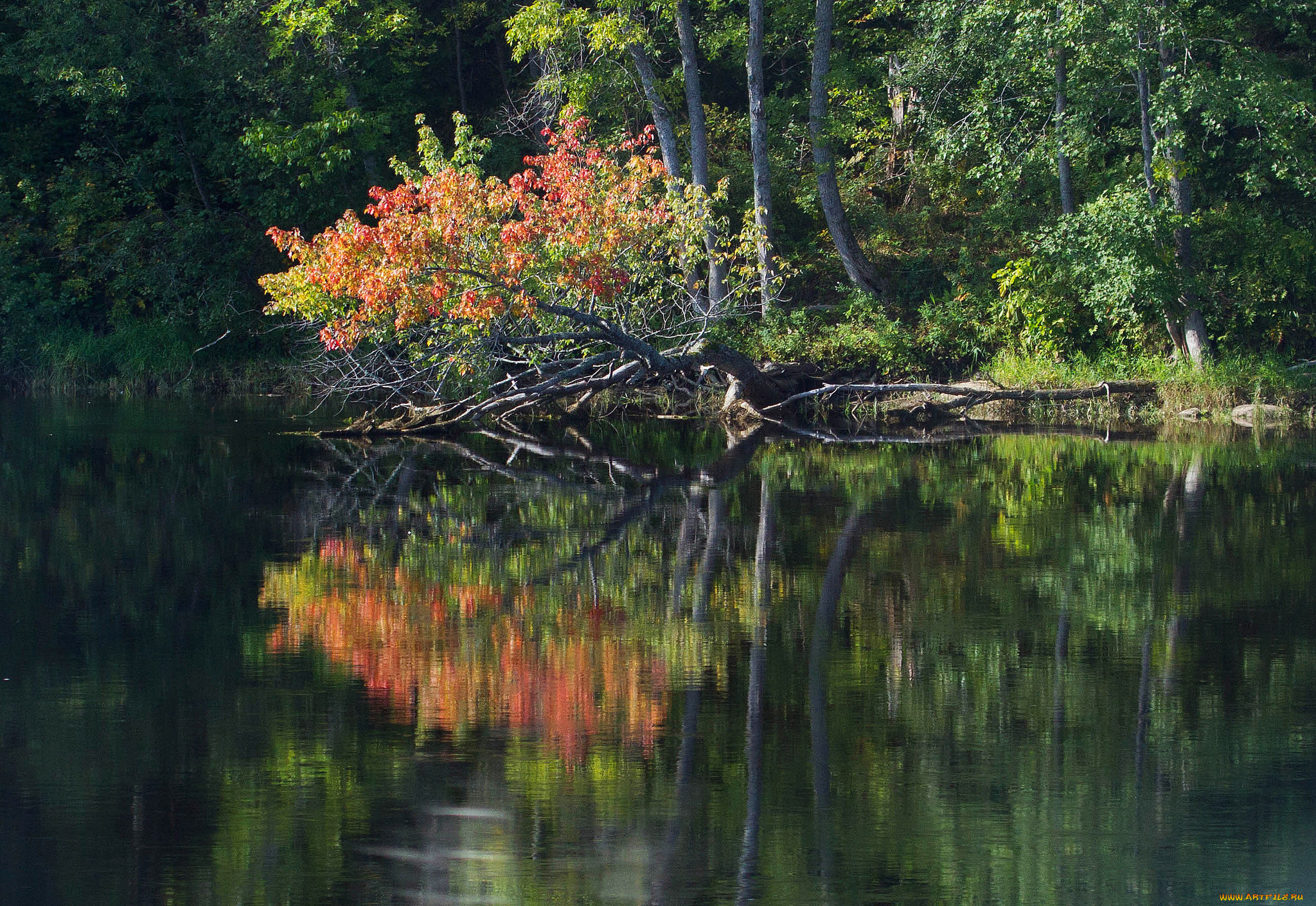природа, реки, озера, простор