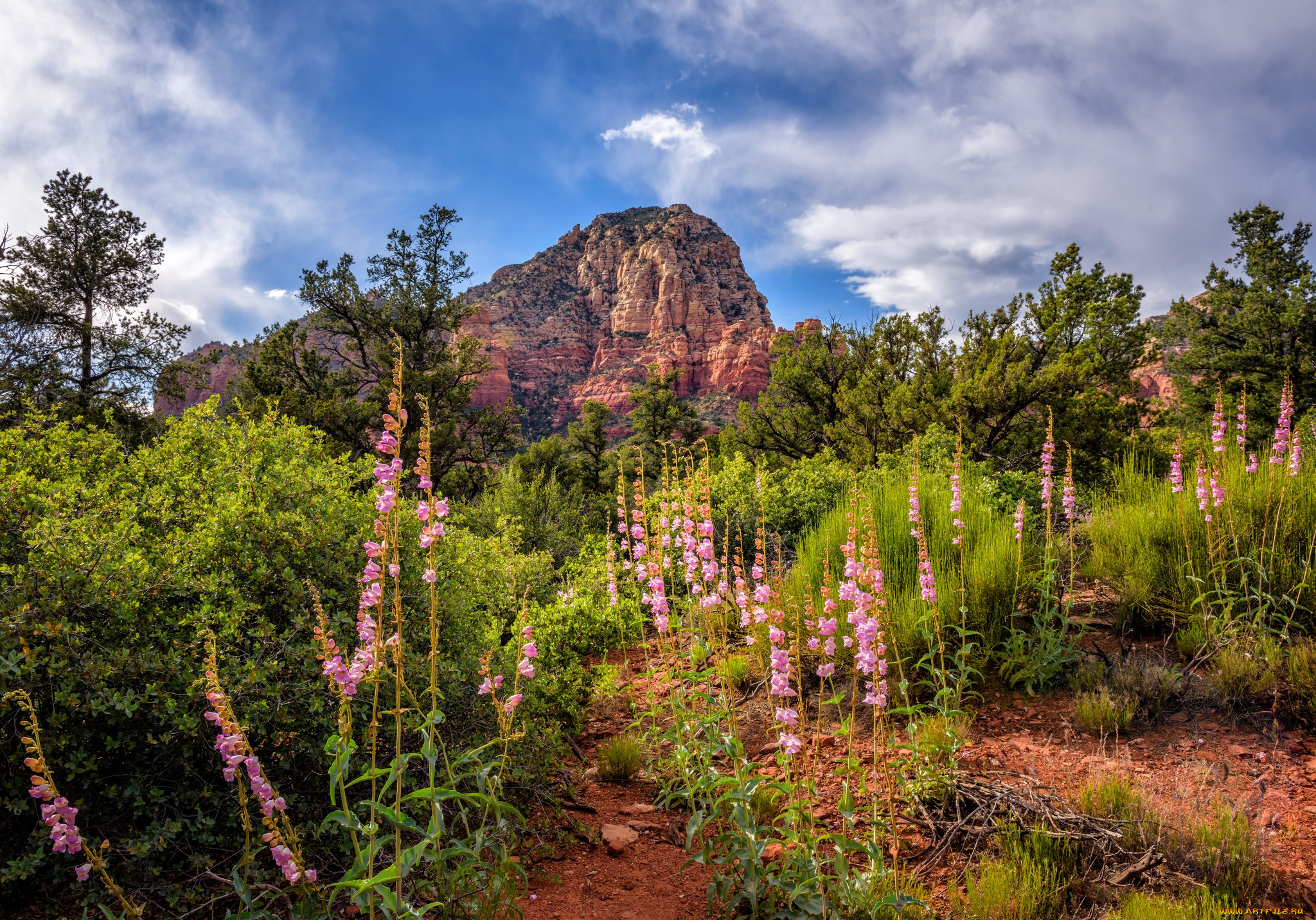 природа, горы, простор