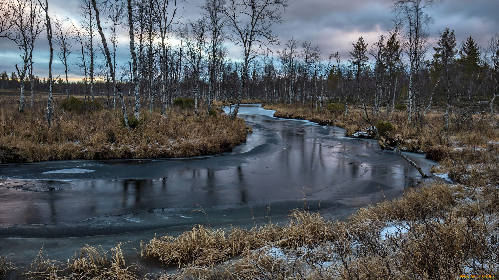 природа, реки, озера, река, зима