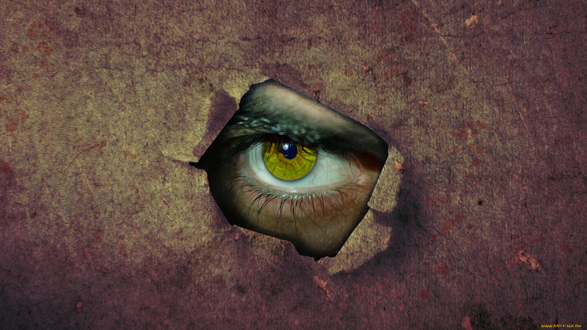 разное, глаза, взгляд