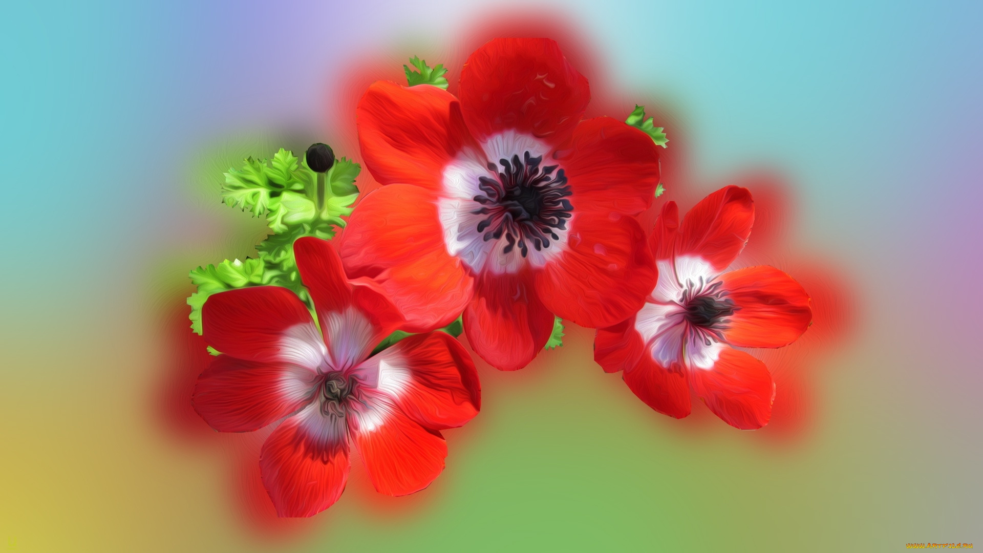 разное, компьютерный, дизайн, цветы, фон, лепестки