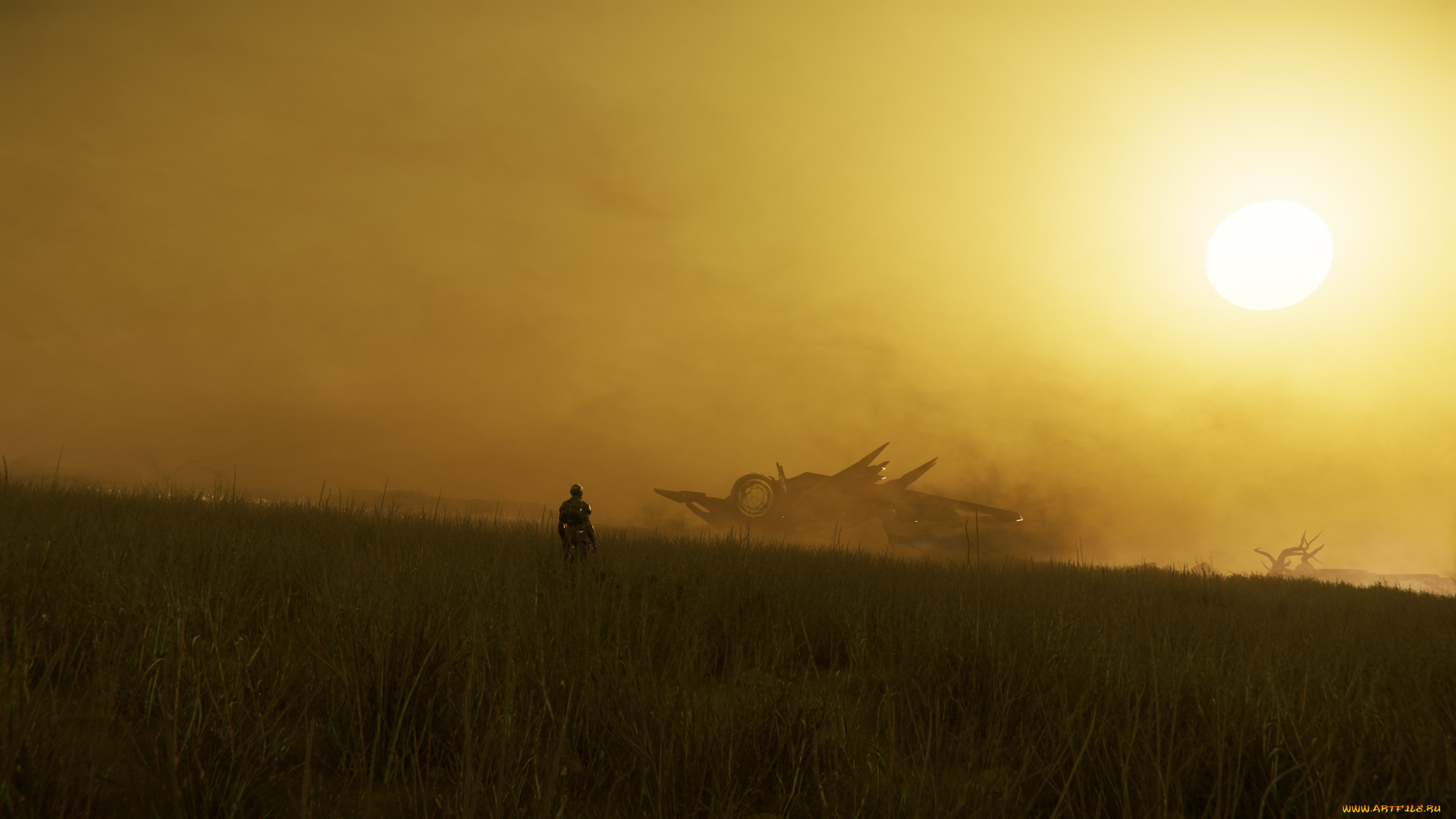 видео, игры, star, citizen, star, citizen