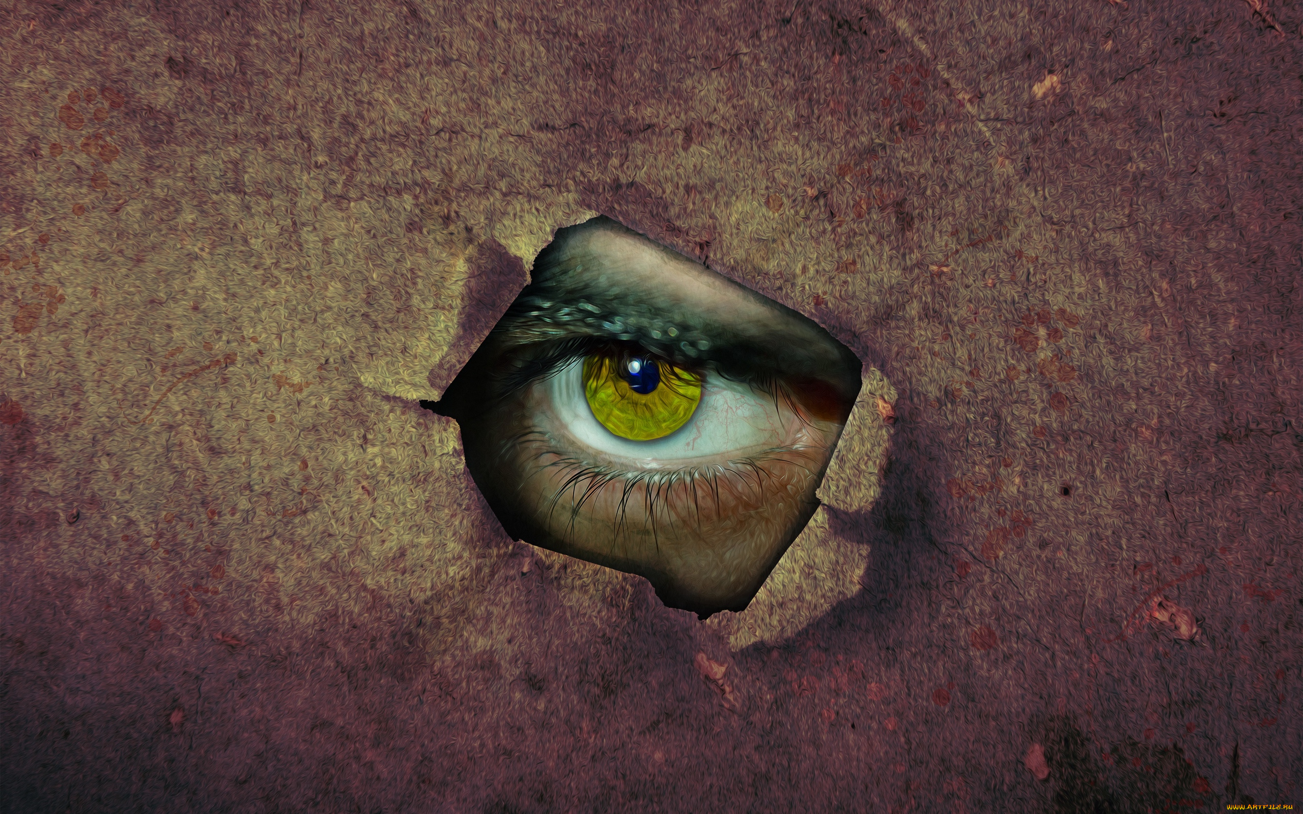 разное, глаза, взгляд