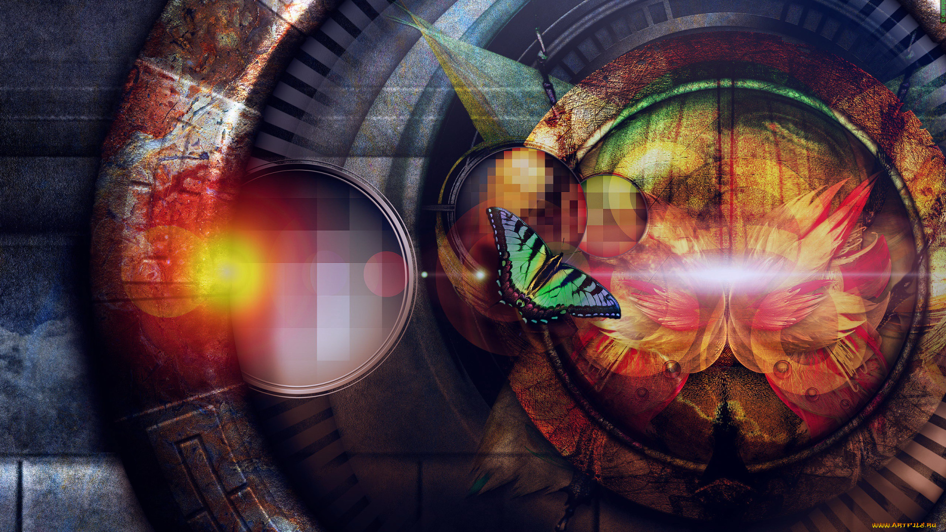 3д, графика, животные, , animals, кольца, бабочка, цветок