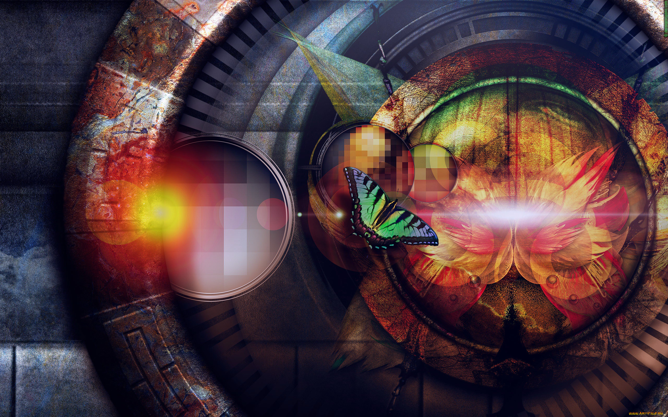 3д, графика, животные, , animals, кольца, бабочка, цветок