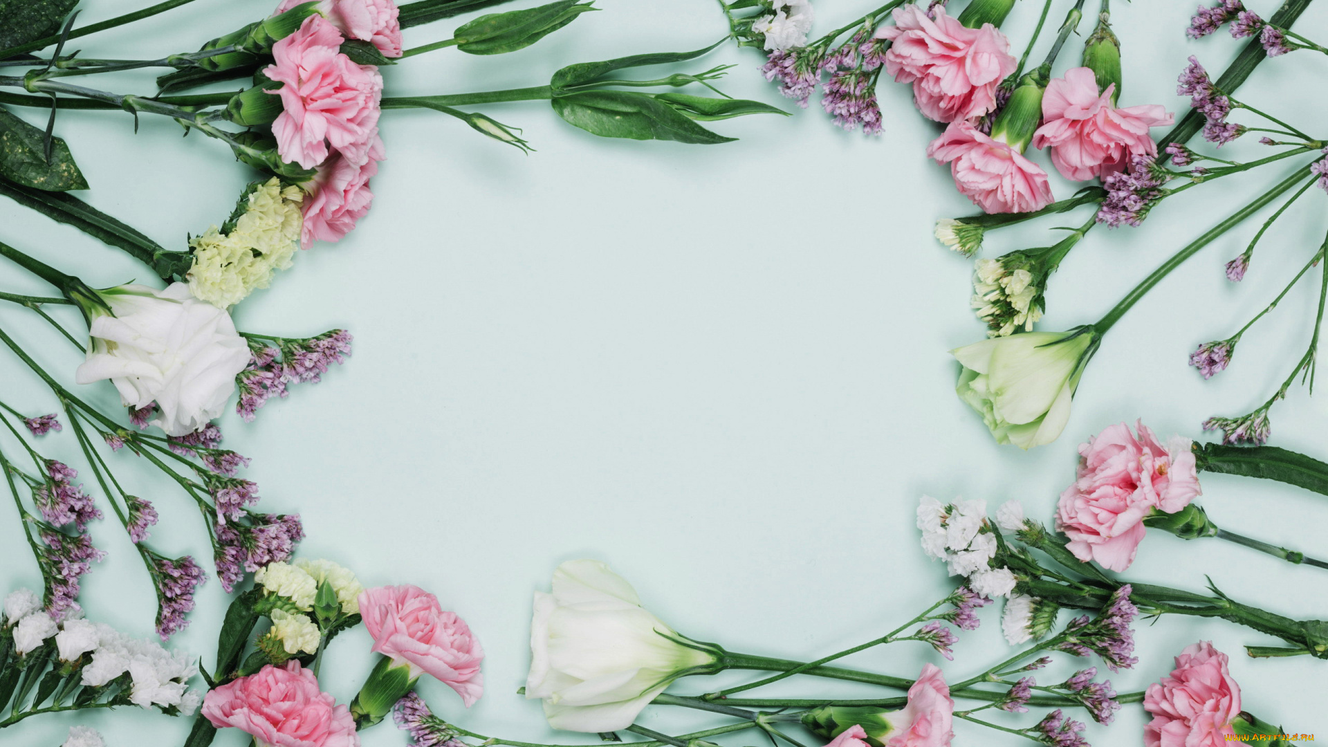 цветы, разные, вместе, гвоздика, розы