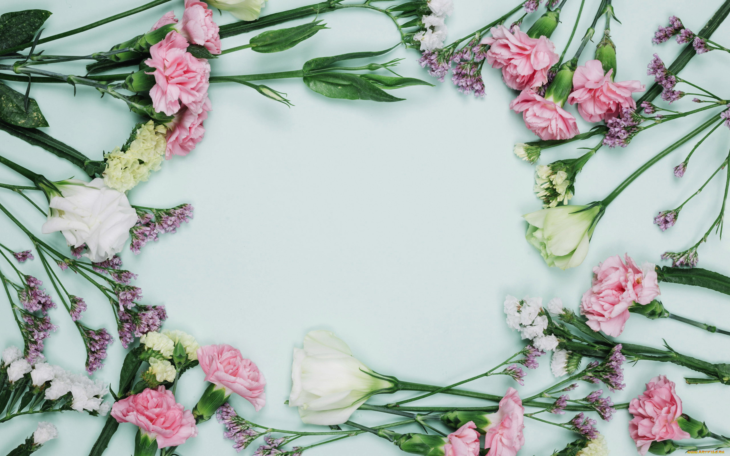 цветы, разные, вместе, гвоздика, розы