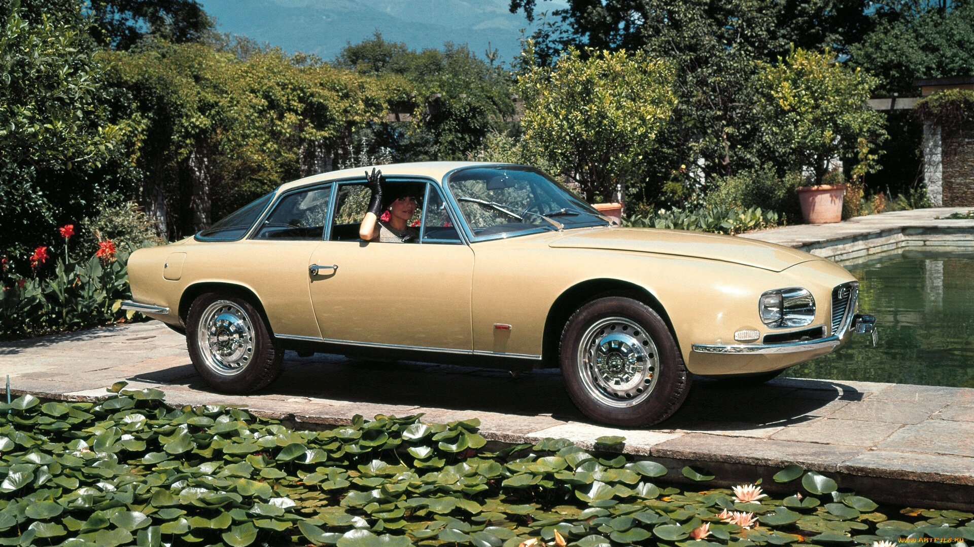 автомобили, alfa, romeo, alfa-romeo