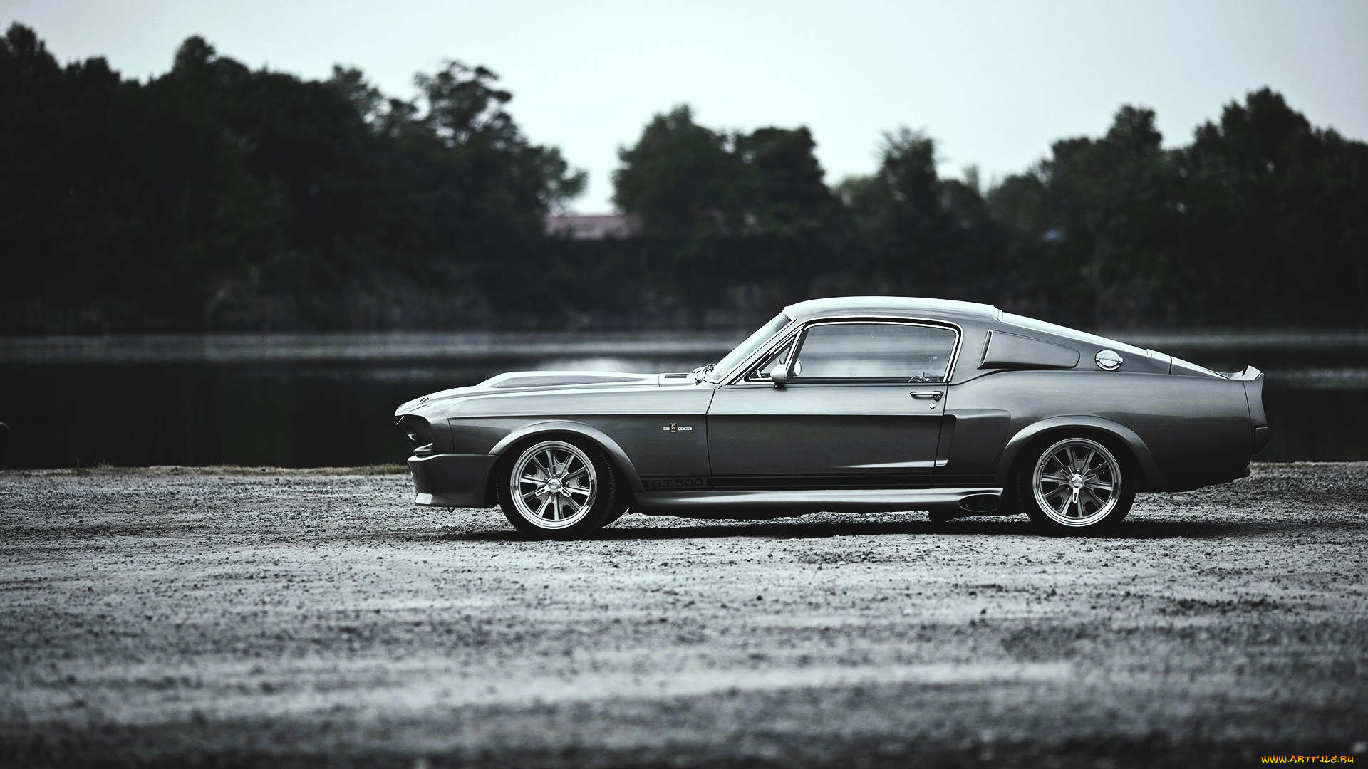 ford, mustang, shelby, gt500, автомобили, mustang, черно-белый, озеро