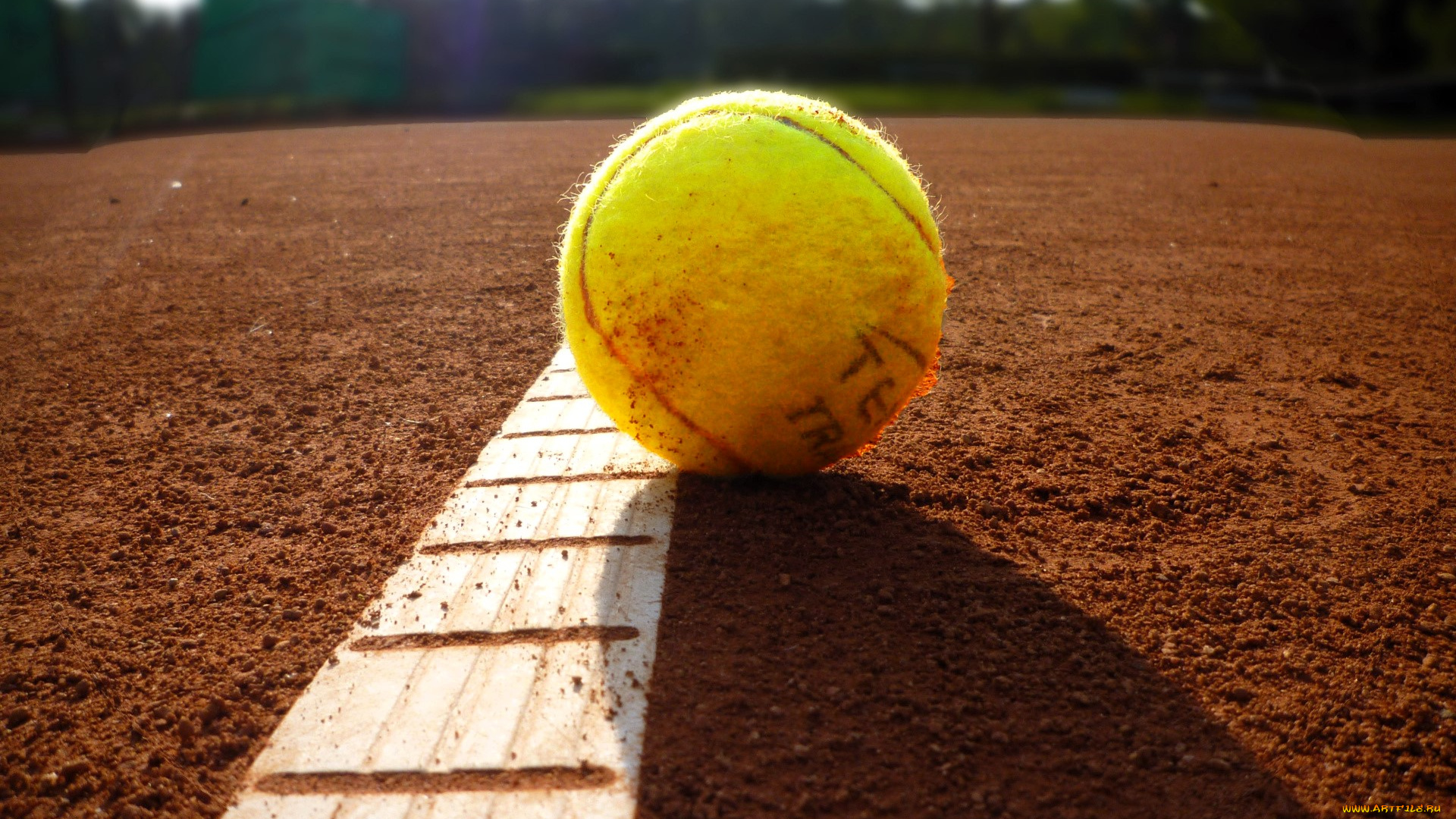 спорт, теннис, мяч, корт