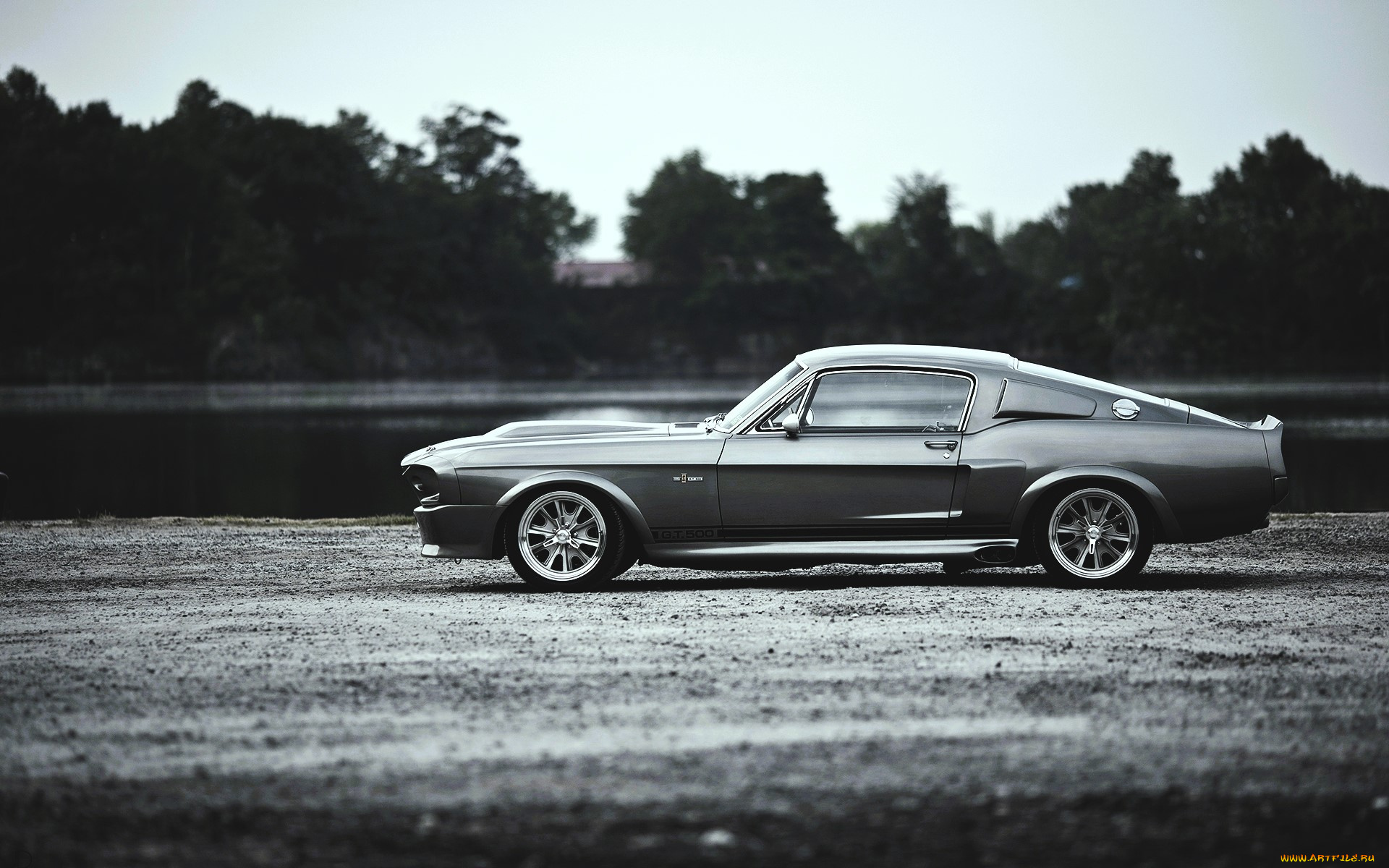 ford, mustang, shelby, gt500, автомобили, mustang, черно-белый, озеро