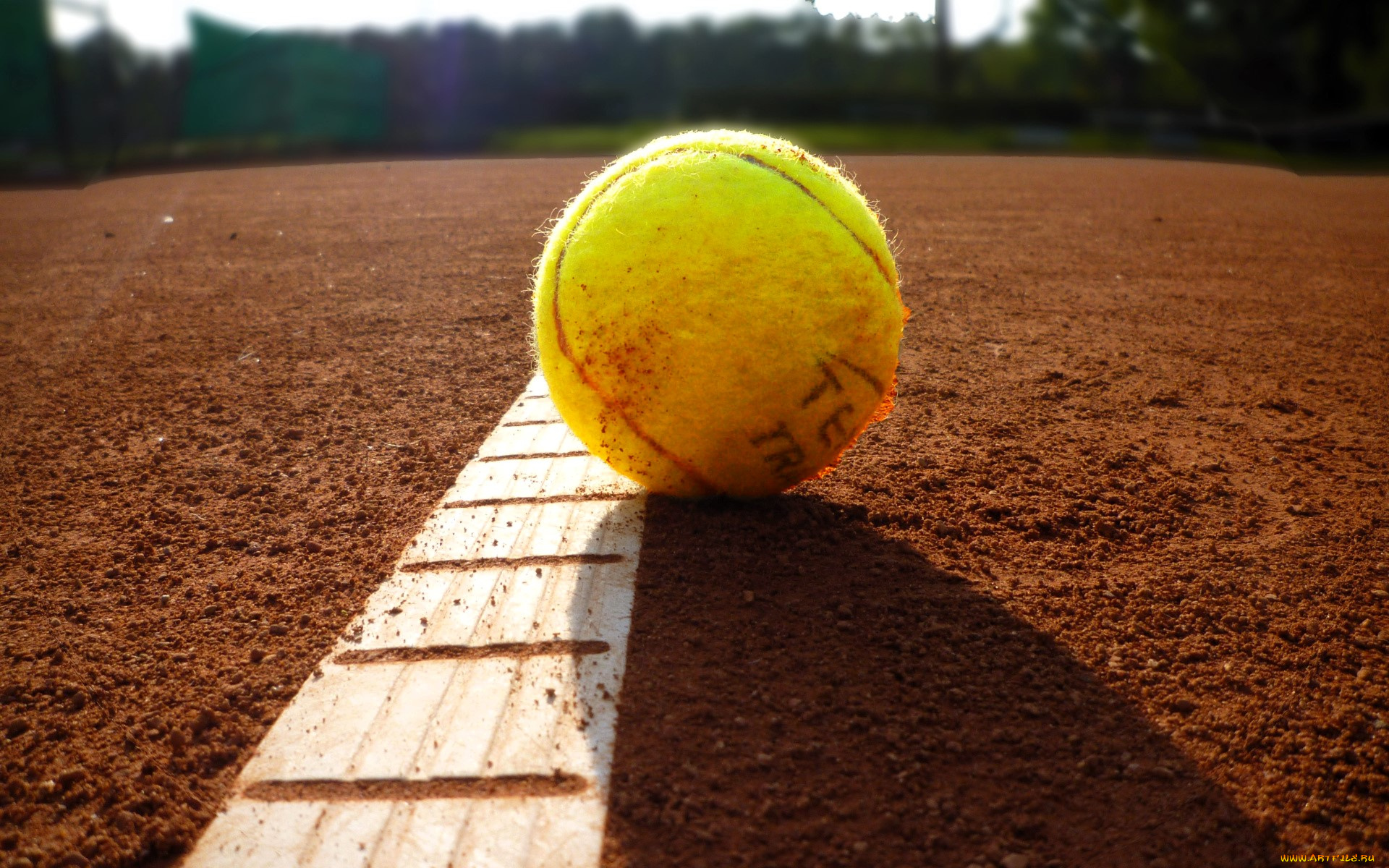 спорт, теннис, мяч, корт