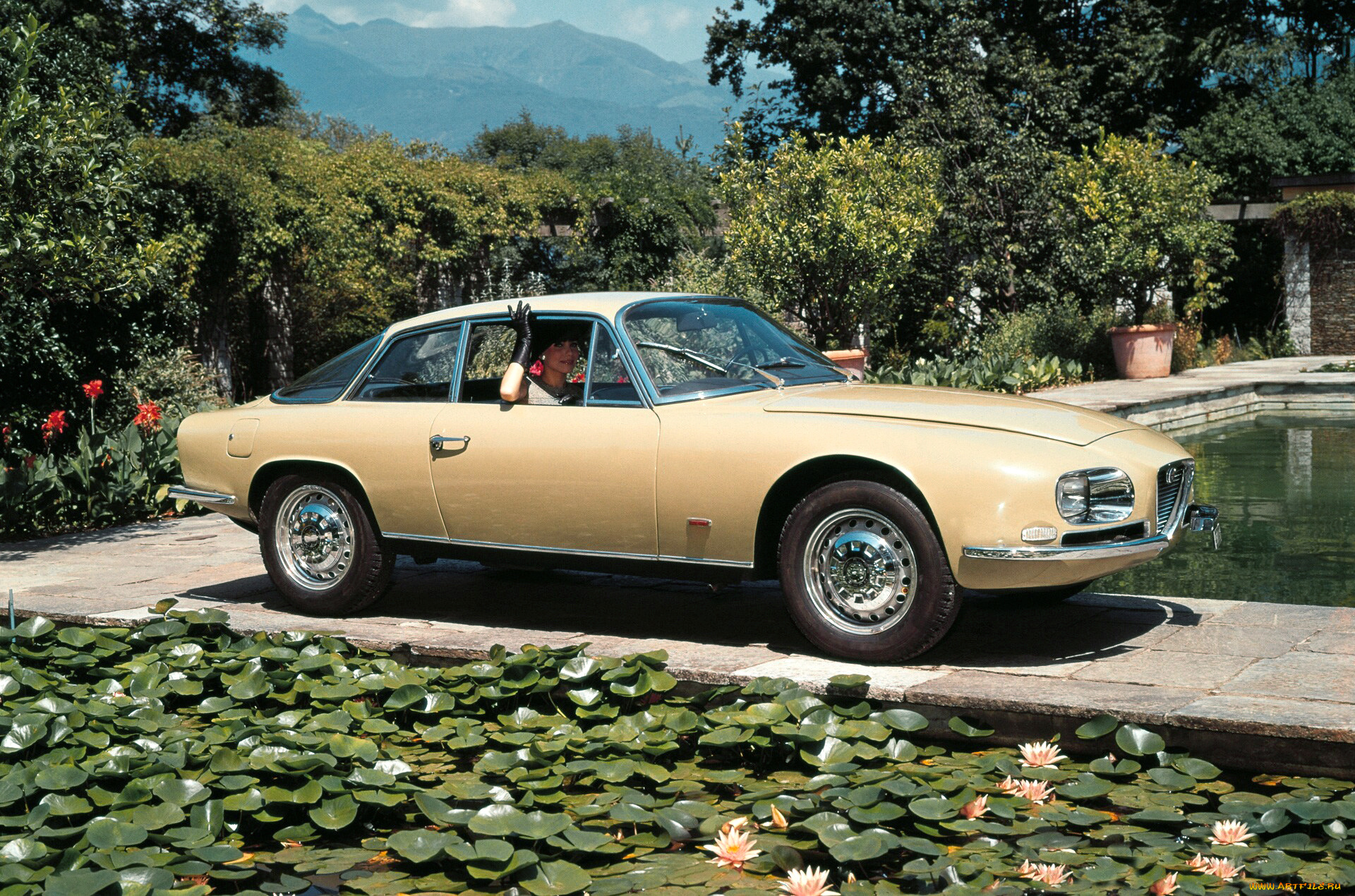 автомобили, alfa, romeo, alfa-romeo